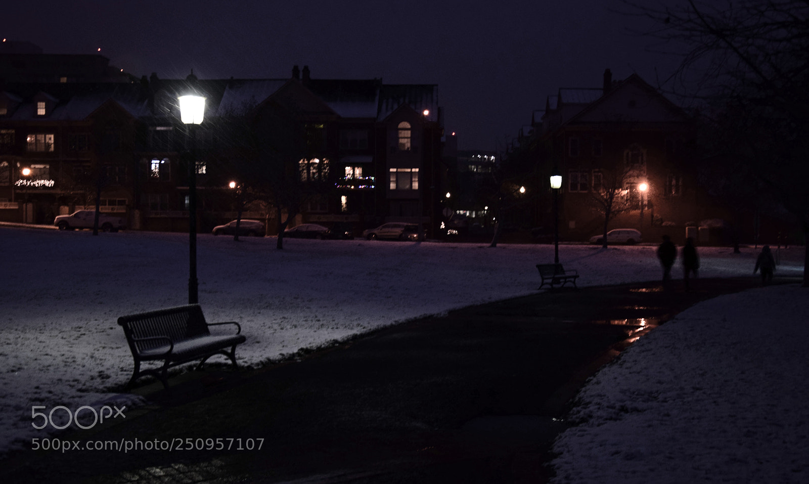 Nikon D5300 sample photo. Sidewalk snow photography