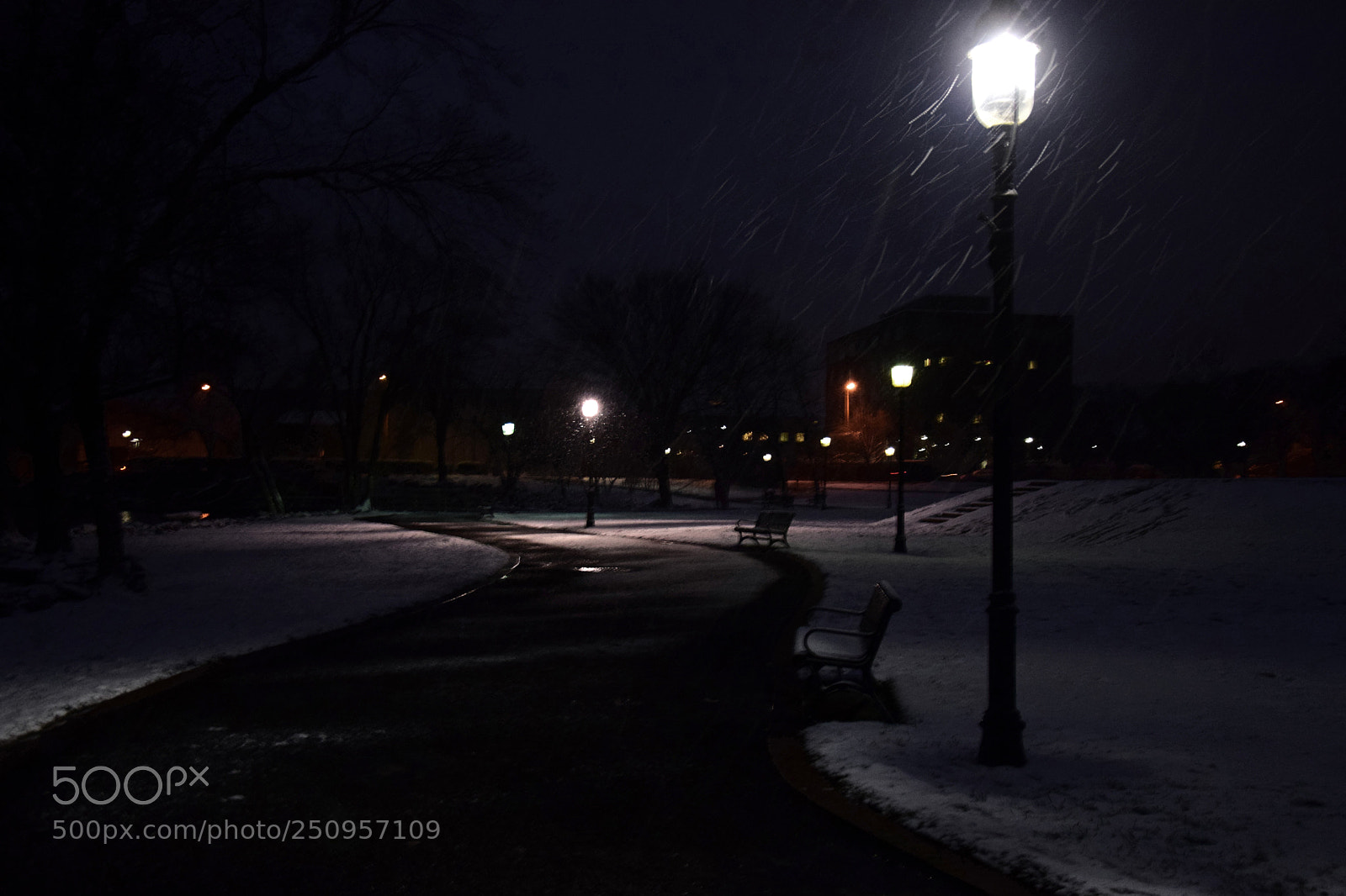 Nikon D5300 sample photo. Sidewalk snow ii photography