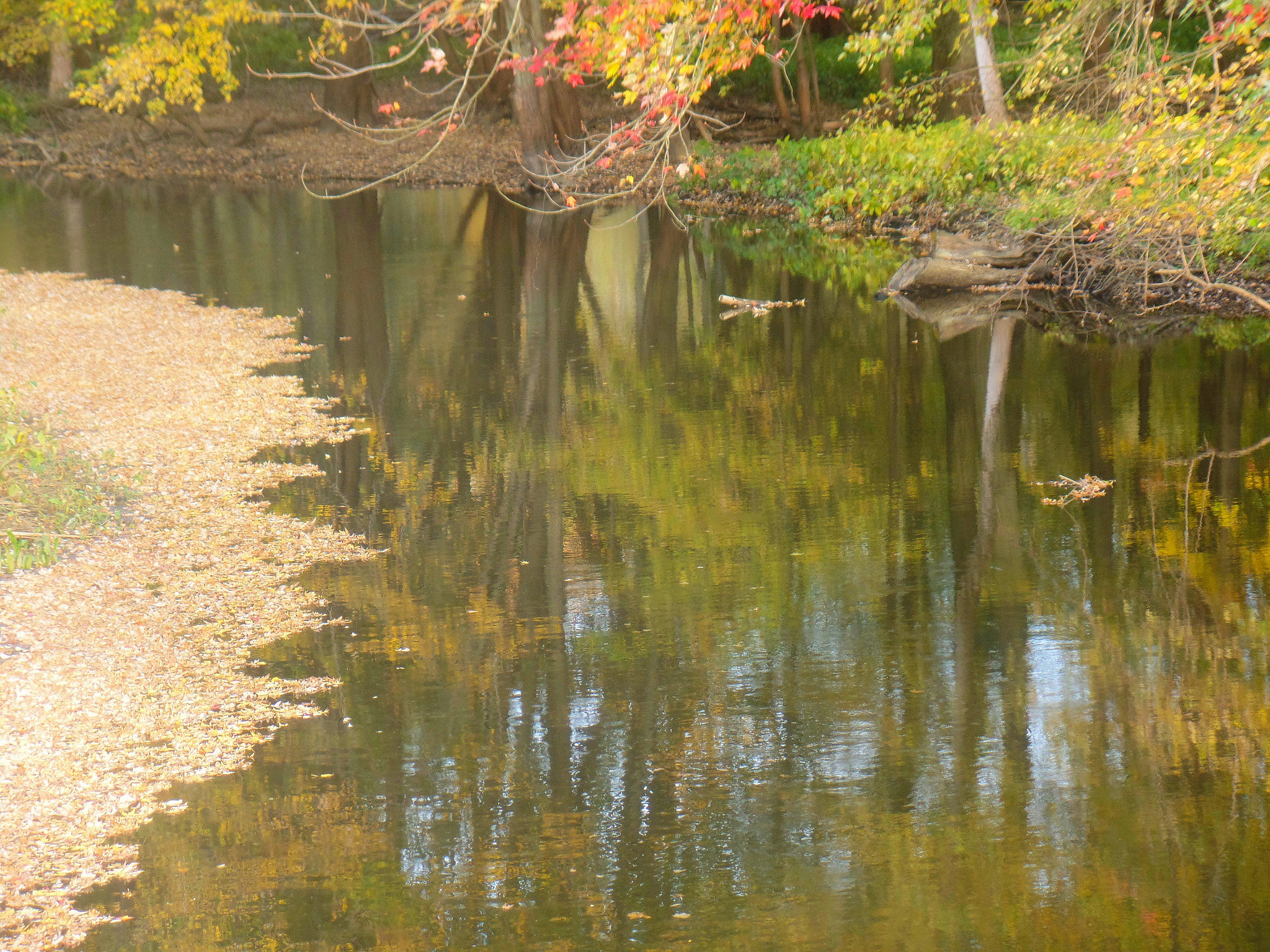 Samsung WB350F/WB351F/WB352F sample photo
