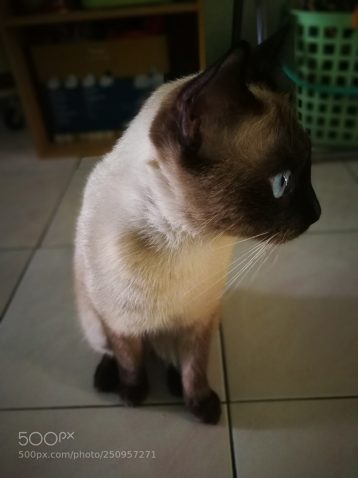 HUAWEI Mate 9 sample photo. Untitled photography
