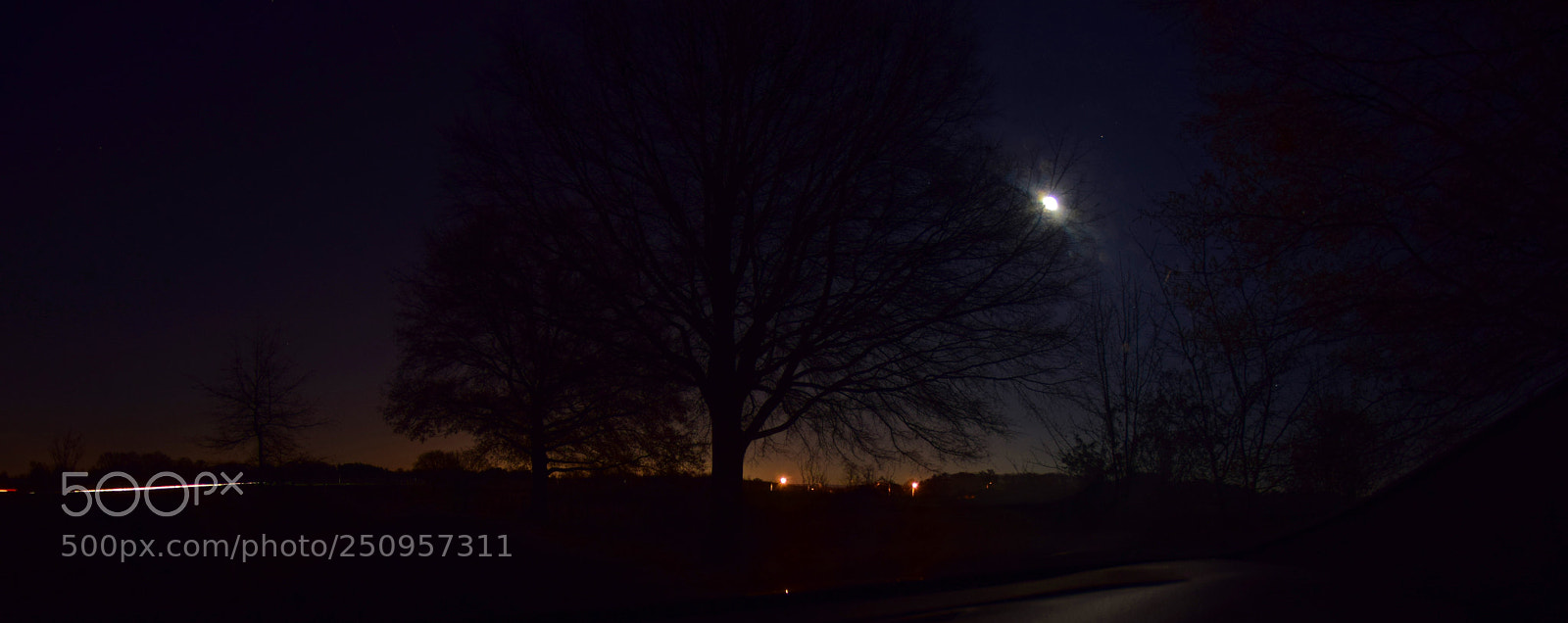 Nikon D5300 sample photo. Moonshine photography