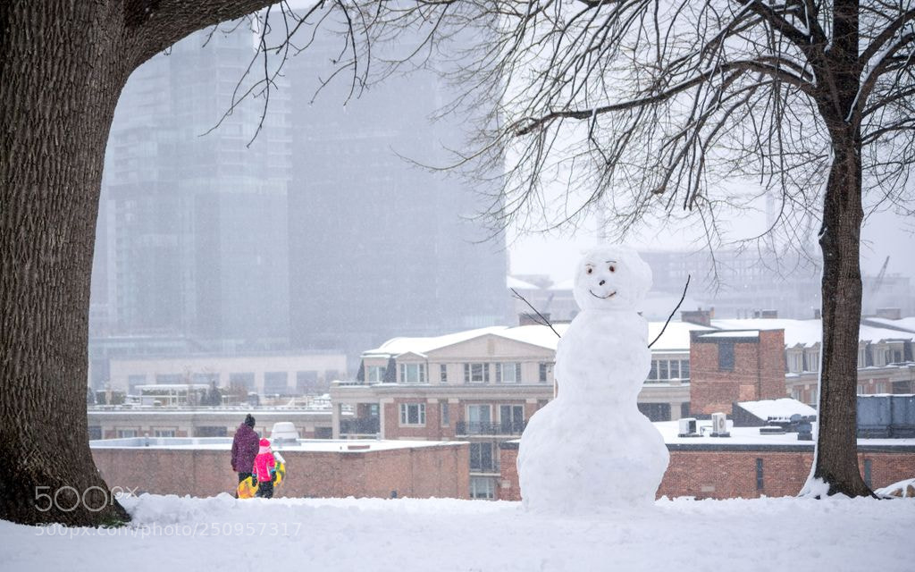 Panasonic Lumix DMC-GX7 sample photo. Snow day https ift.tt photography