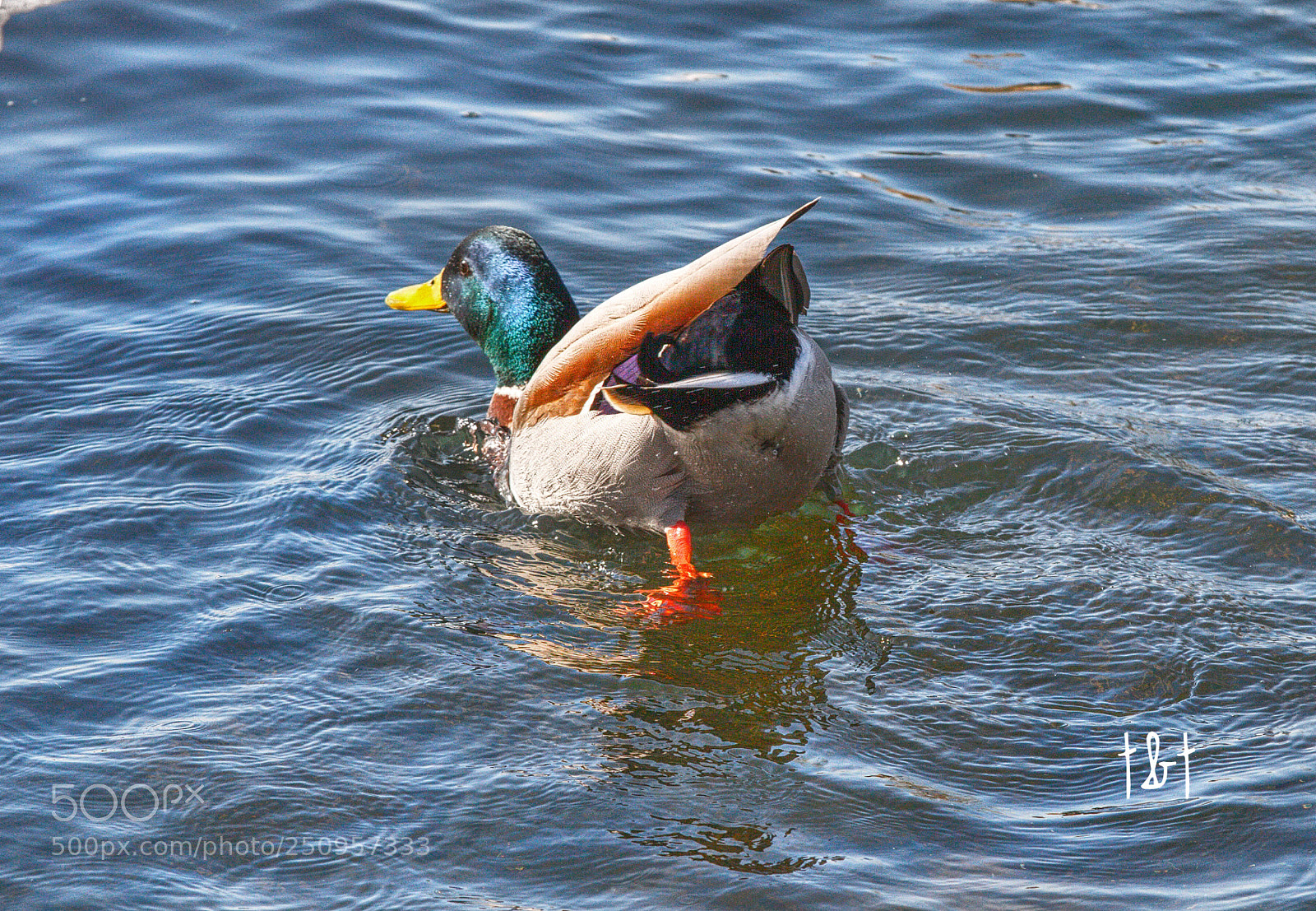Canon EOS 7D sample photo. Untitled photography