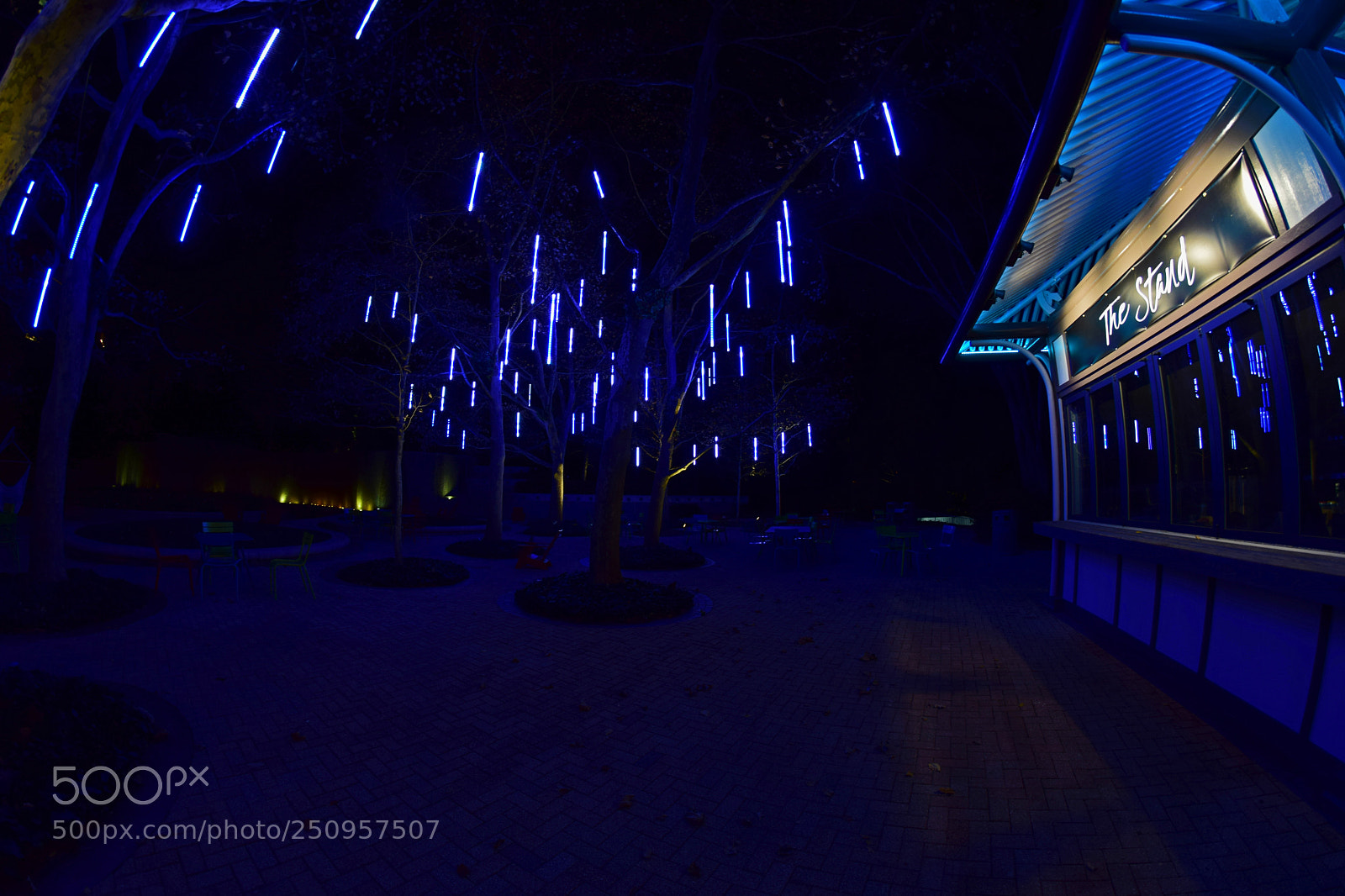 Nikon D5300 sample photo. The strand photography