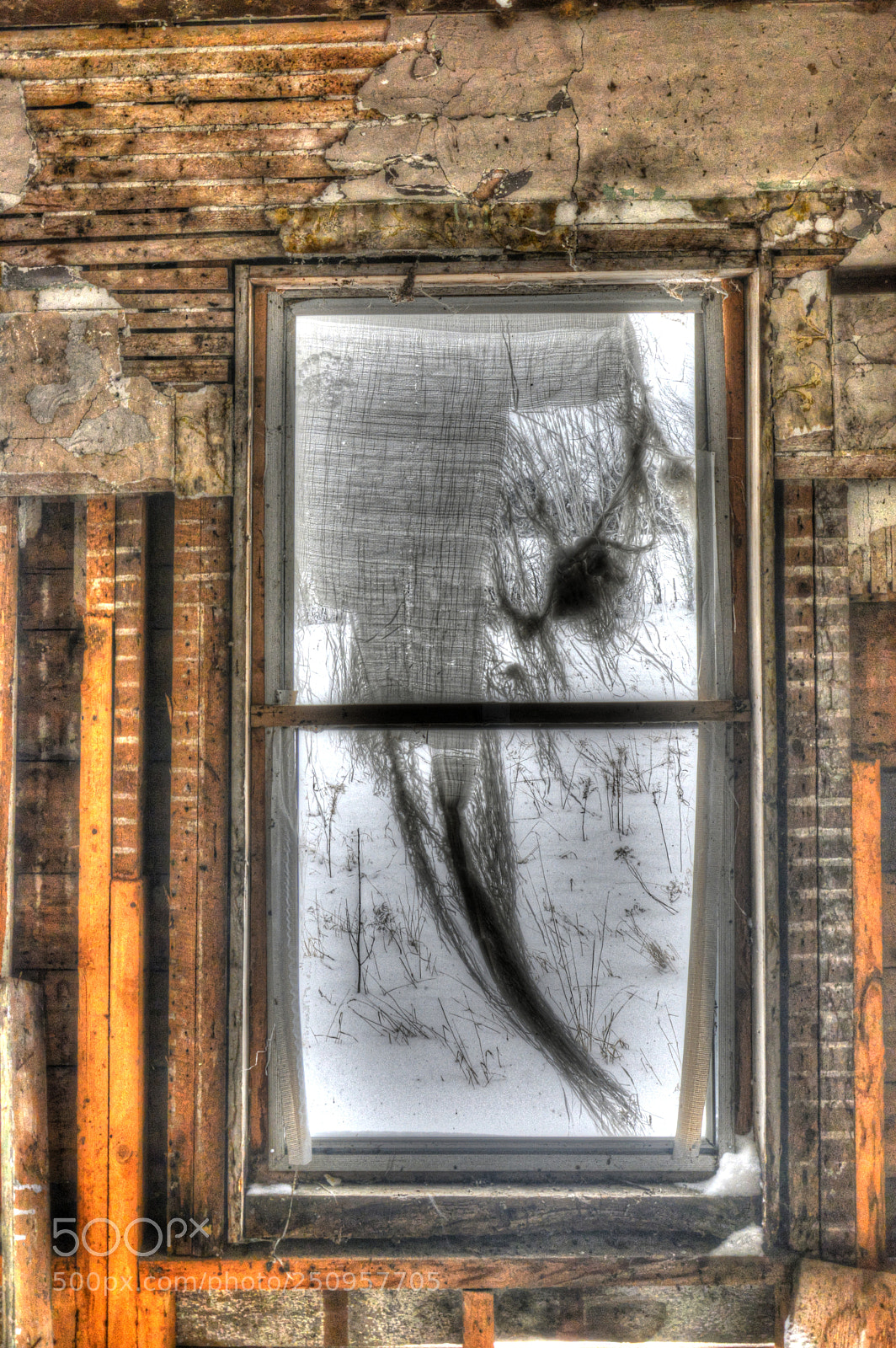 Nikon D7100 sample photo. The other world 3 photography