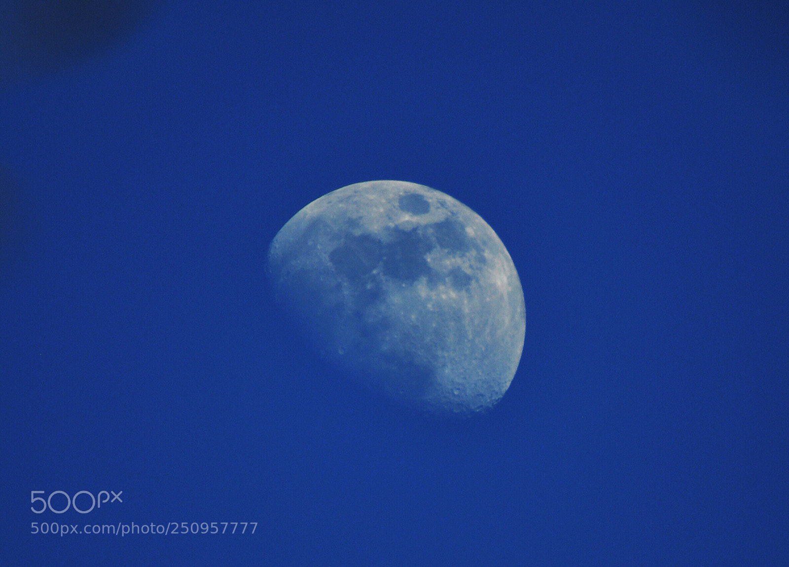Nikon D90 sample photo. Blue photography