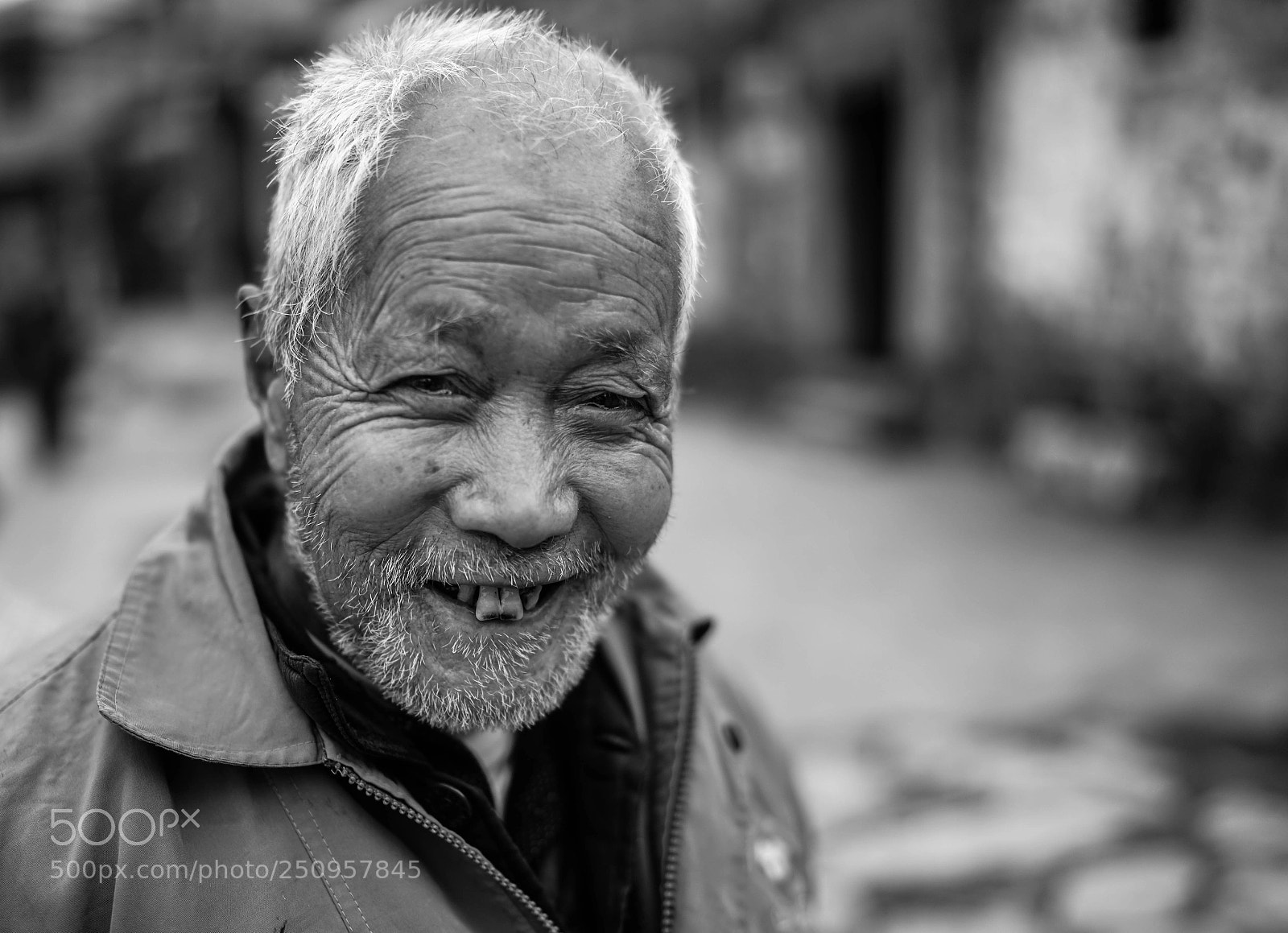 Sony a7 II sample photo. Dsc photography