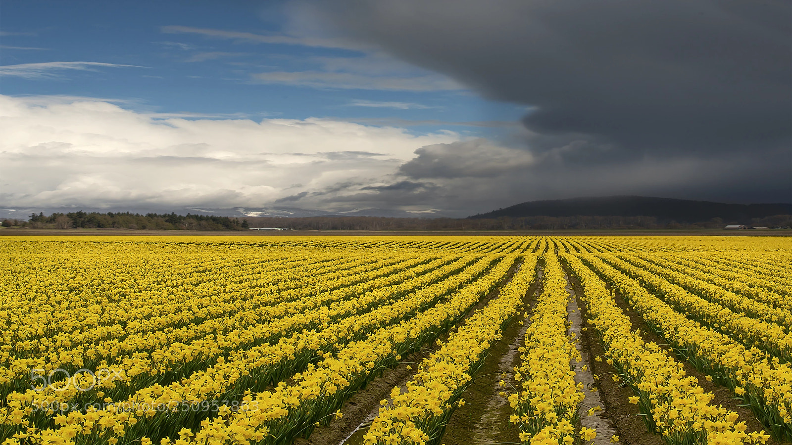 Nikon D800E sample photo. Passing storm photography