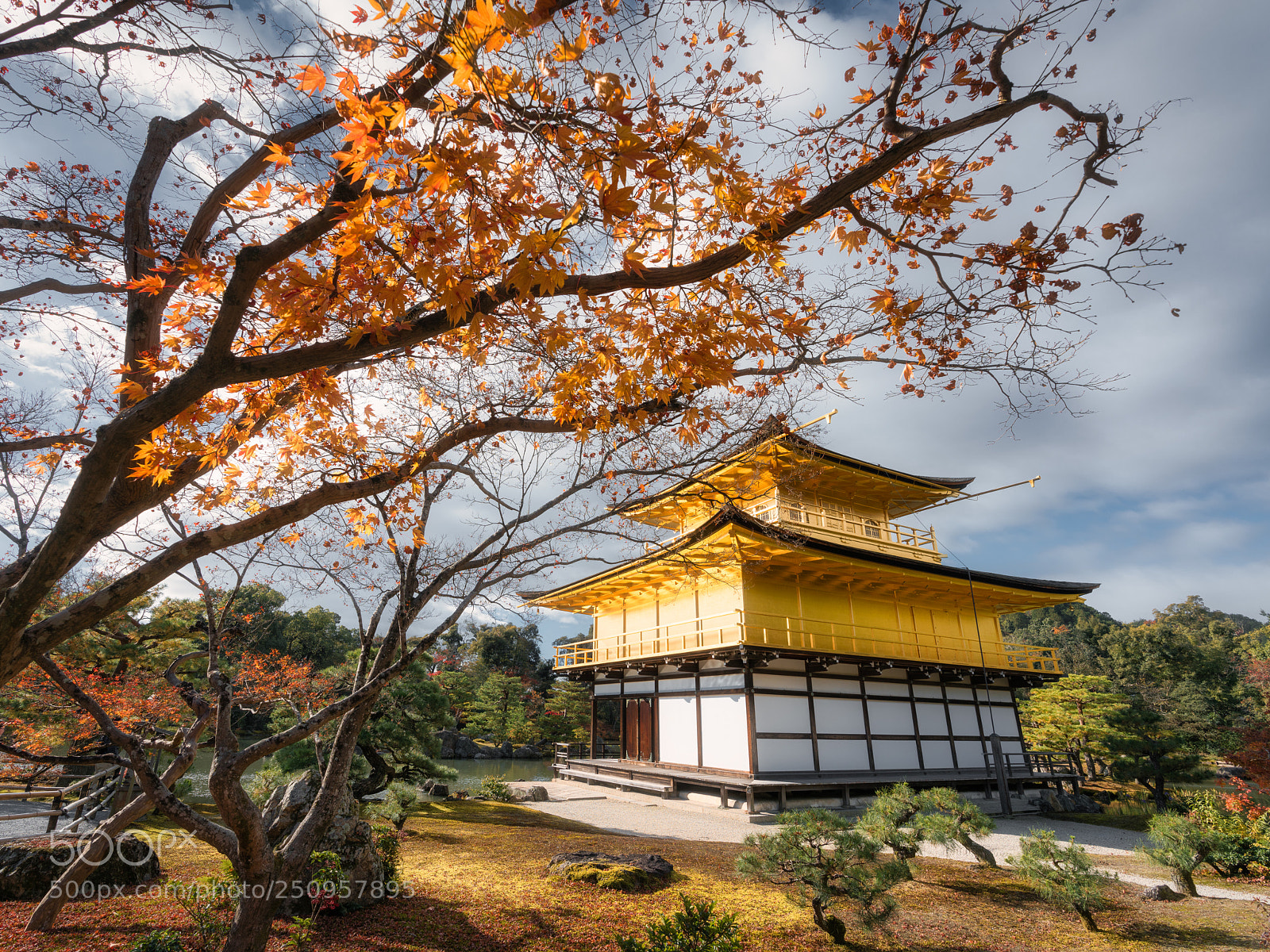 Sony a7R II sample photo. Beautiful kinkaku-ji photography