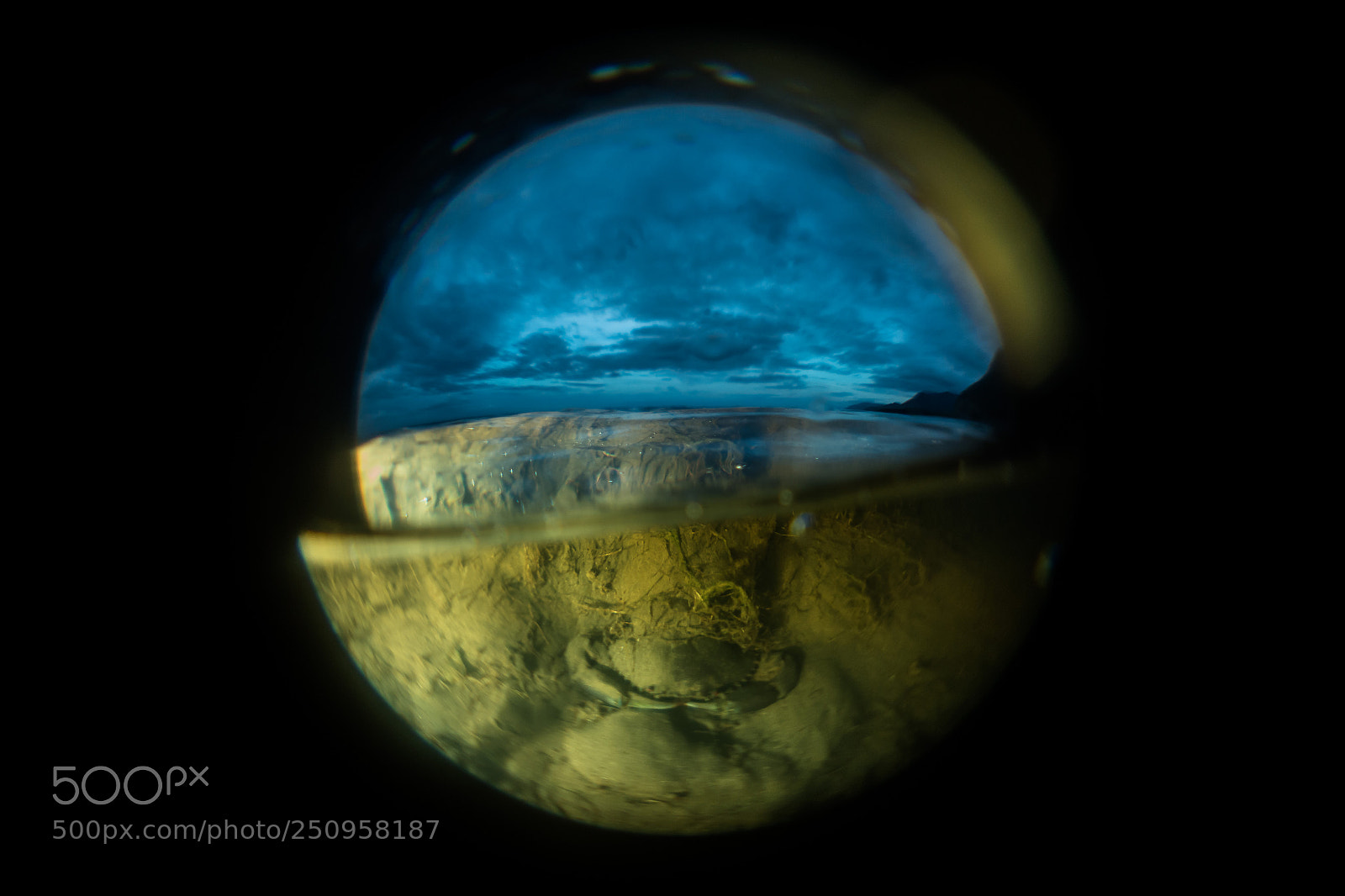 Sony Cyber-shot DSC-RX100 IV sample photo. Mudcrabs sunset (scylla serrata) photography