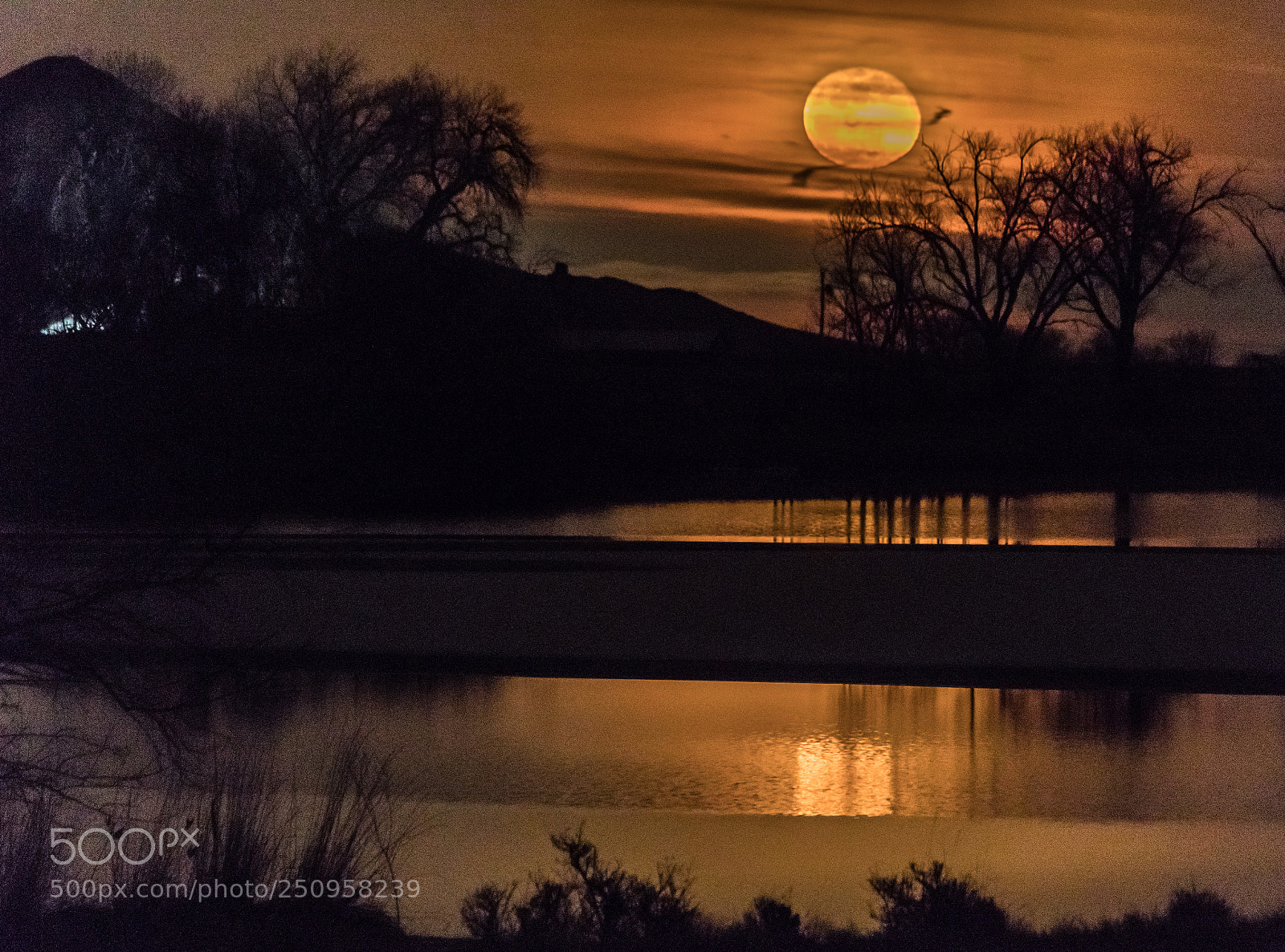 Canon EOS 80D sample photo. Moonrise photography