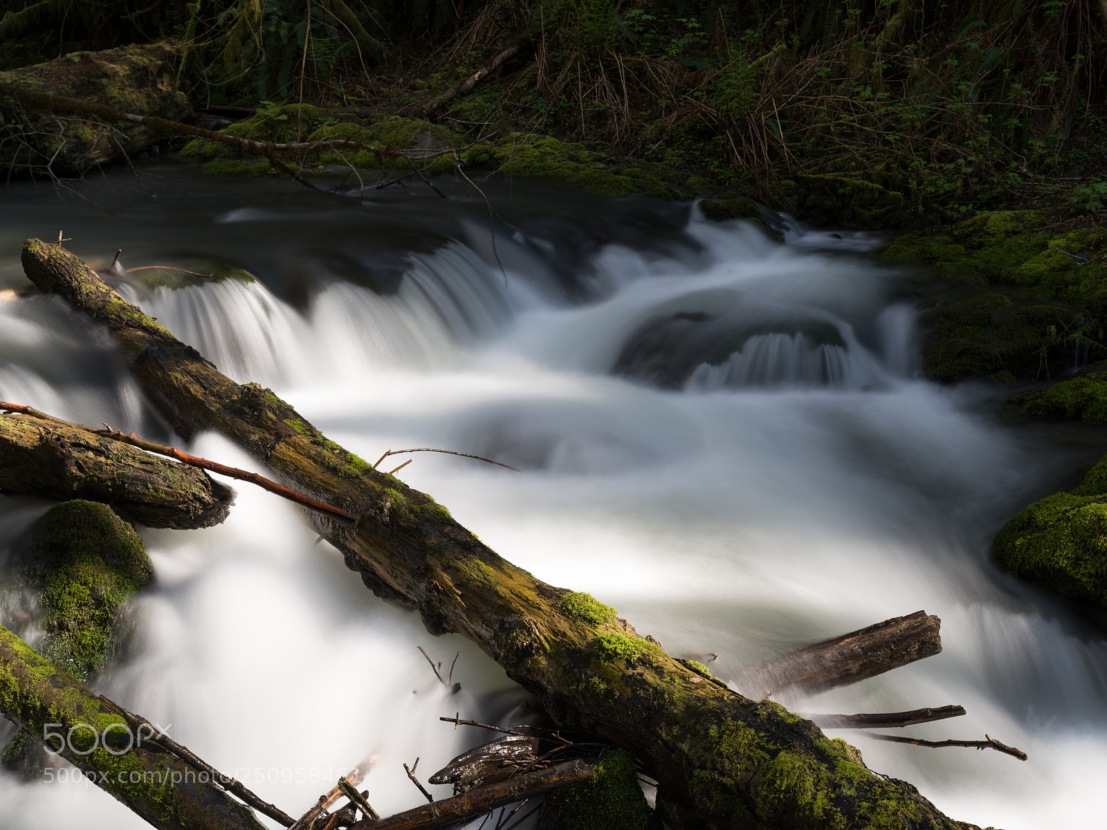 Pentax 645Z sample photo. Little mill creek photography