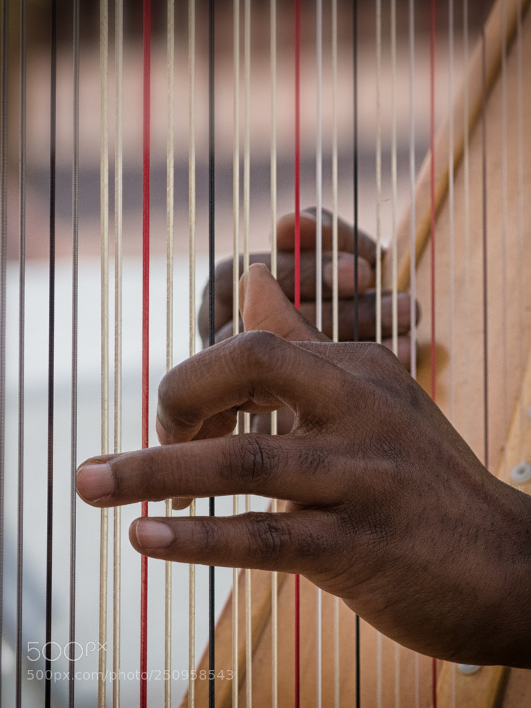 Olympus OM-D E-M5 II sample photo. Hands photography