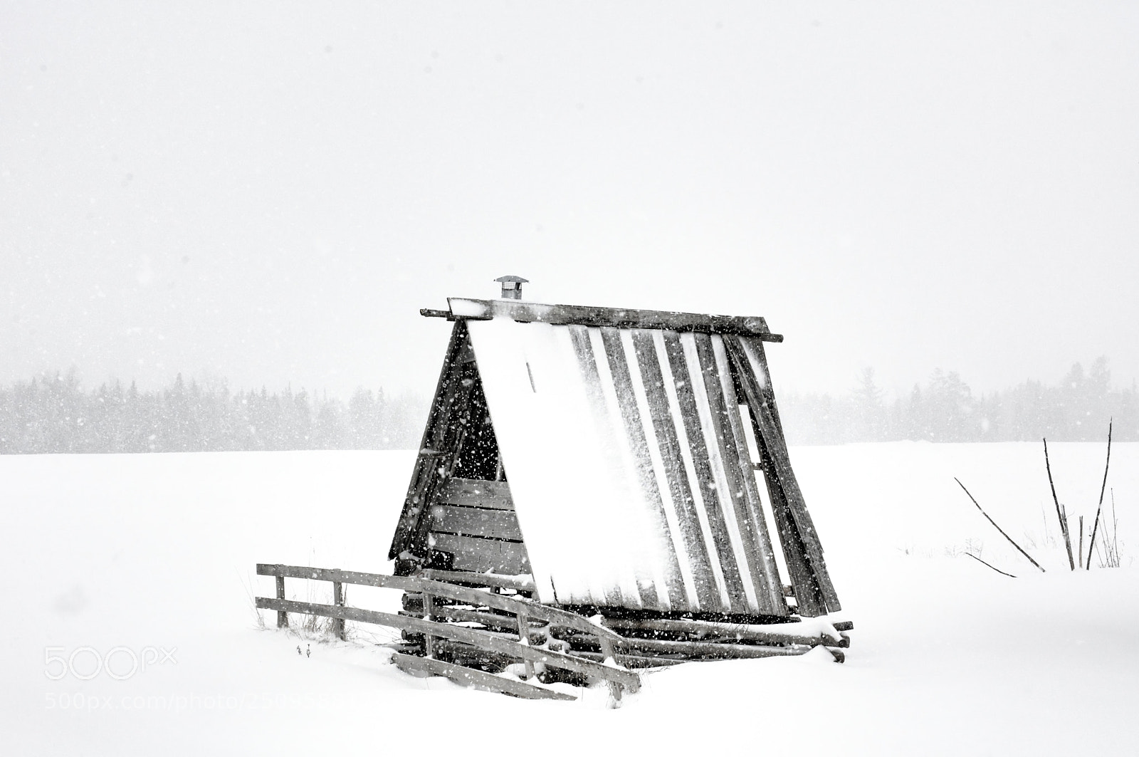 Nikon D7100 sample photo. The shelter photography
