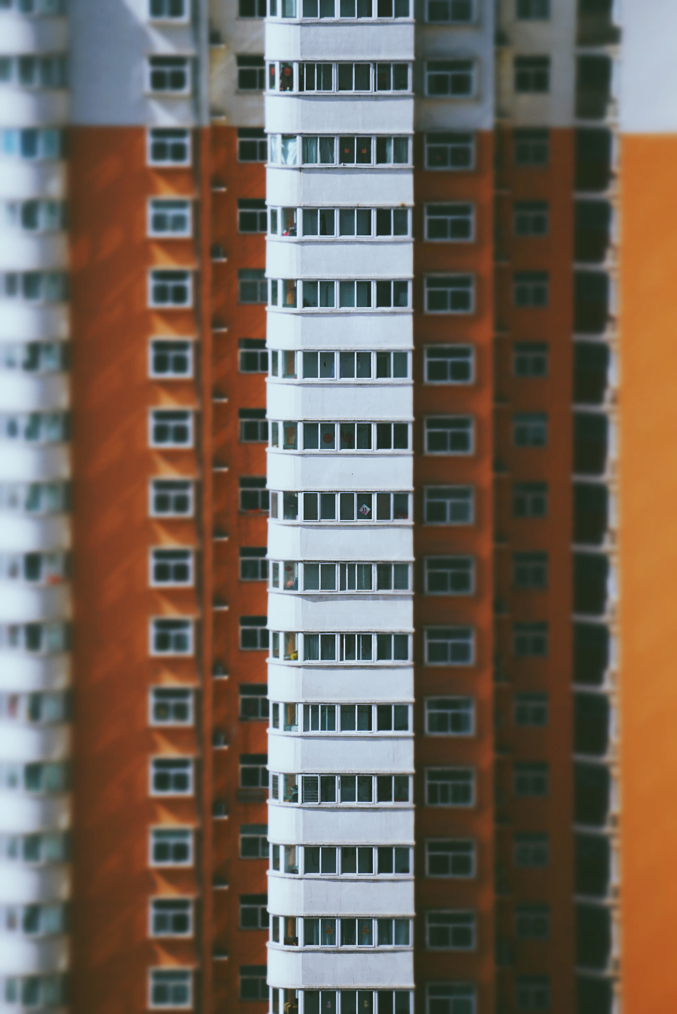 Sony E 55-210mm F4.5-6.3 OSS sample photo