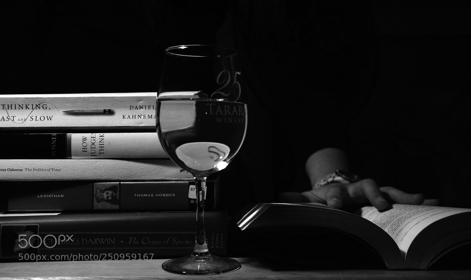 Nikon D5300 sample photo. Books and wine photography