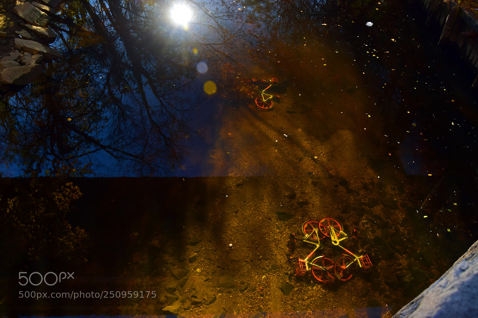 Nikon D5300 sample photo. Waterlogged wheels photography