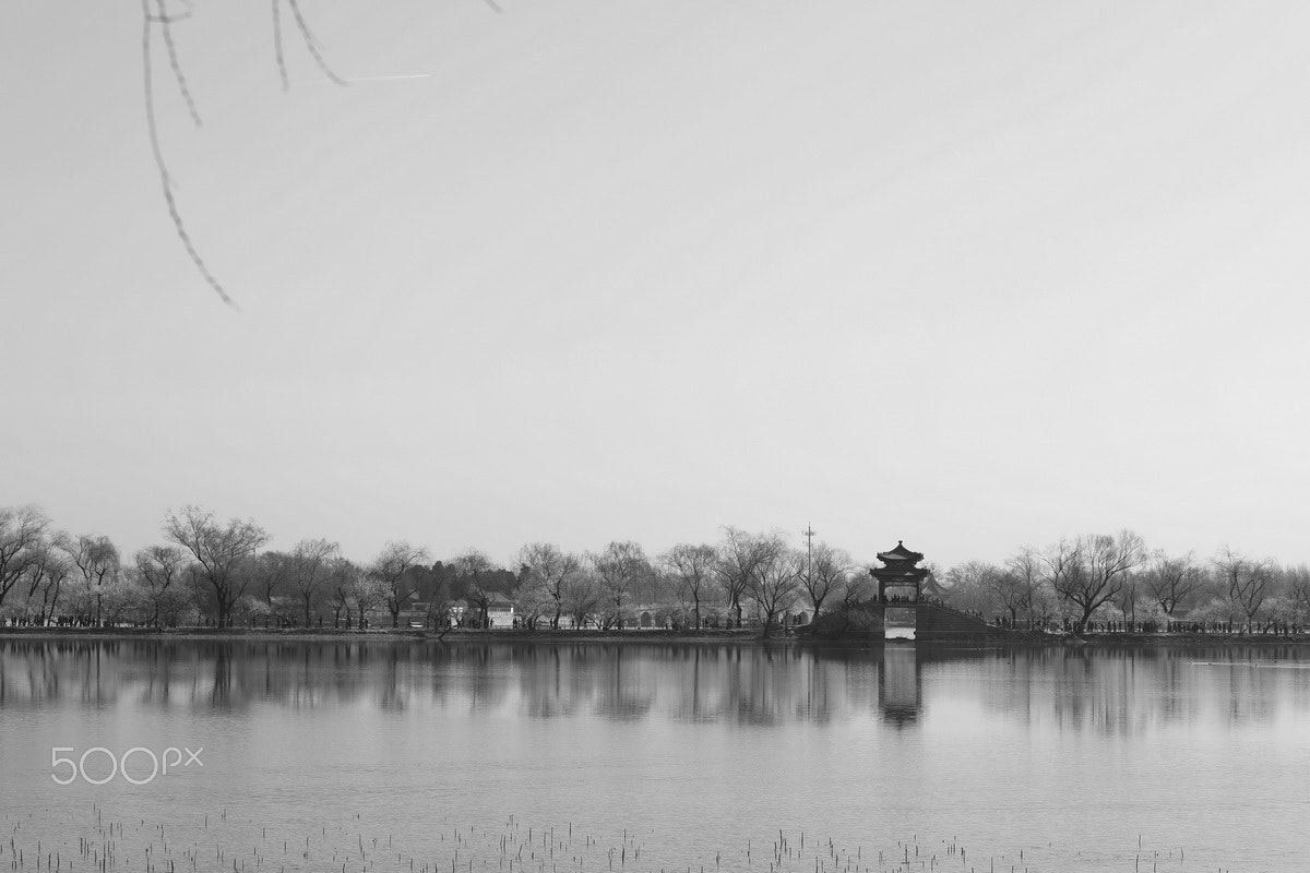 Canon EF 85mm F1.2L II USM sample photo. Spring without color photography