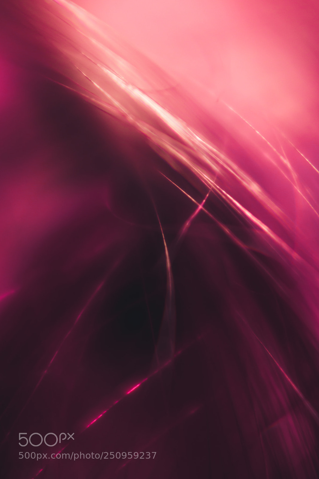 Nikon D7100 sample photo. Nathalie abstract photography