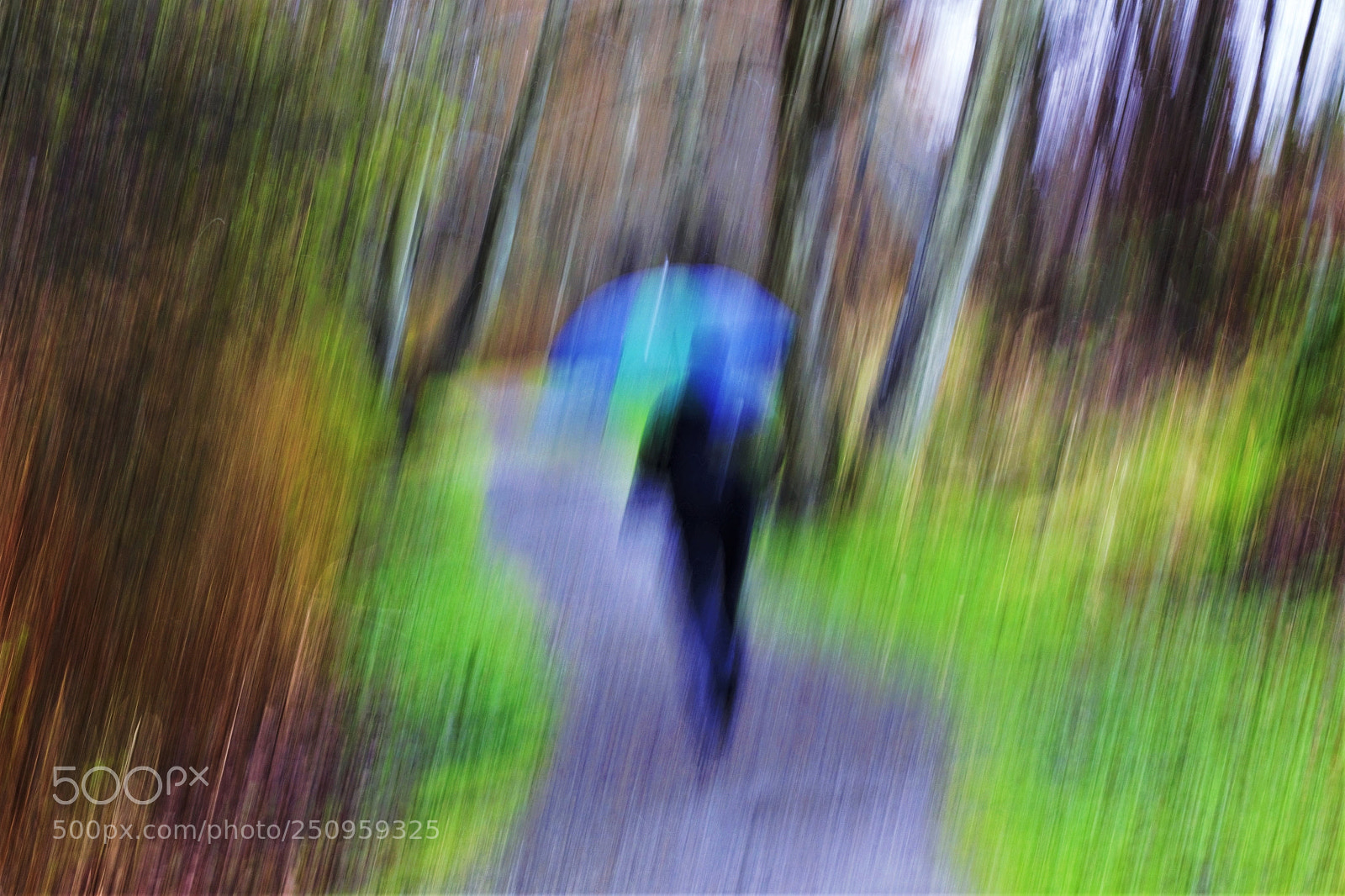 Canon EOS 60D sample photo. Raining -- 在雨中 photography