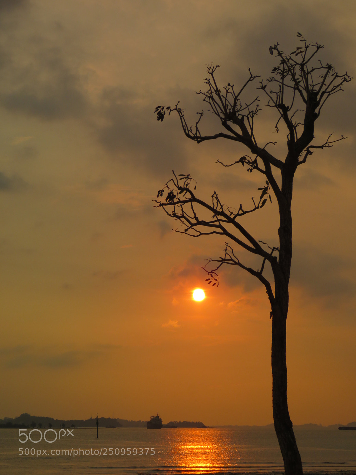 Canon PowerShot SX60 HS sample photo. Sunset photography