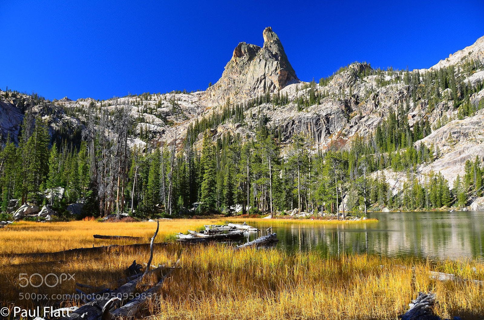 Nikon D7000 sample photo. Tranquility photography