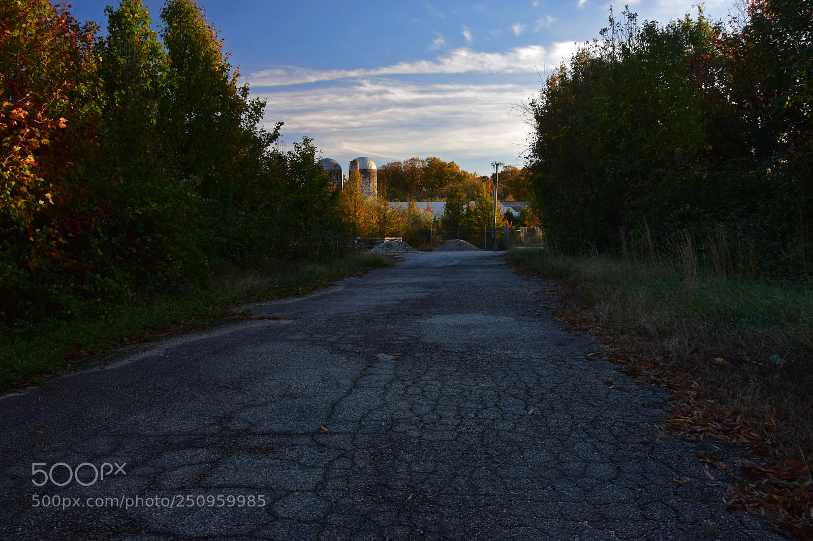 Nikon D5300 sample photo. Laurel hill photography