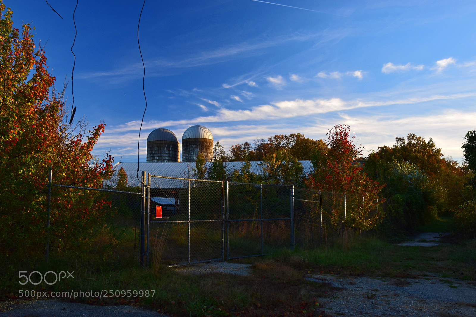 Nikon D5300 sample photo. Laurel hill farm photography
