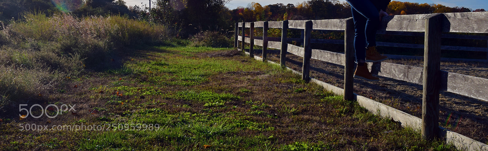 Nikon D5300 sample photo. Boots photography