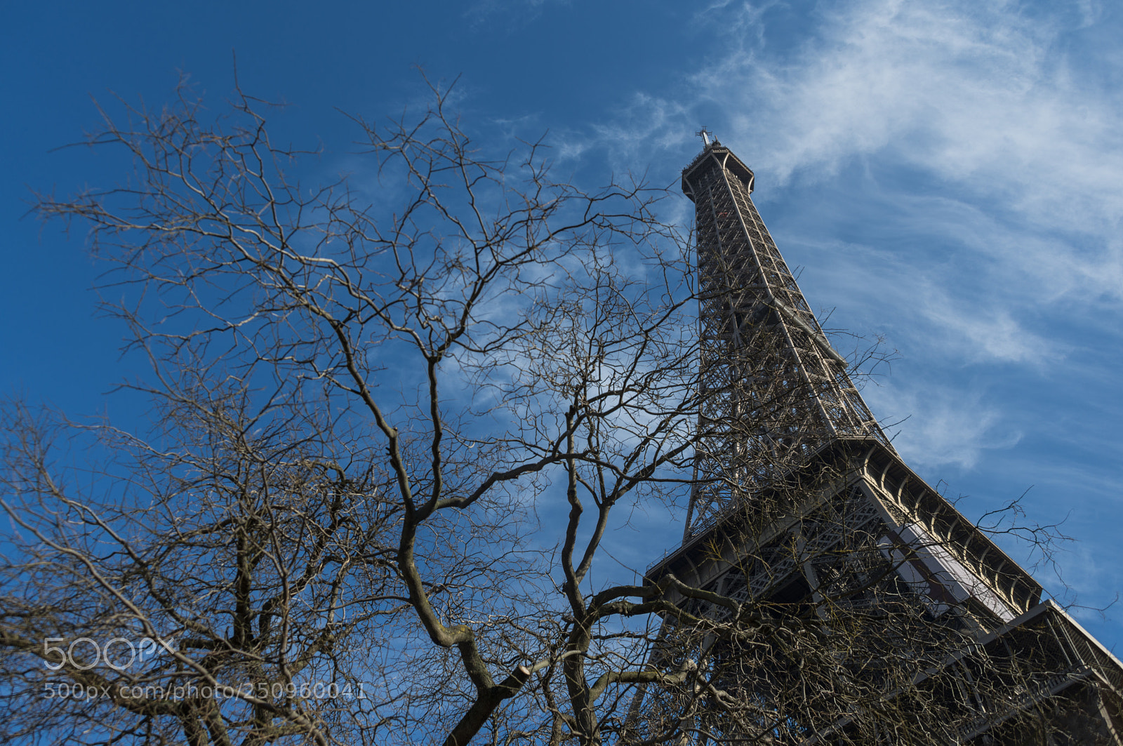 Nikon D800 sample photo. Eiffel feb photography