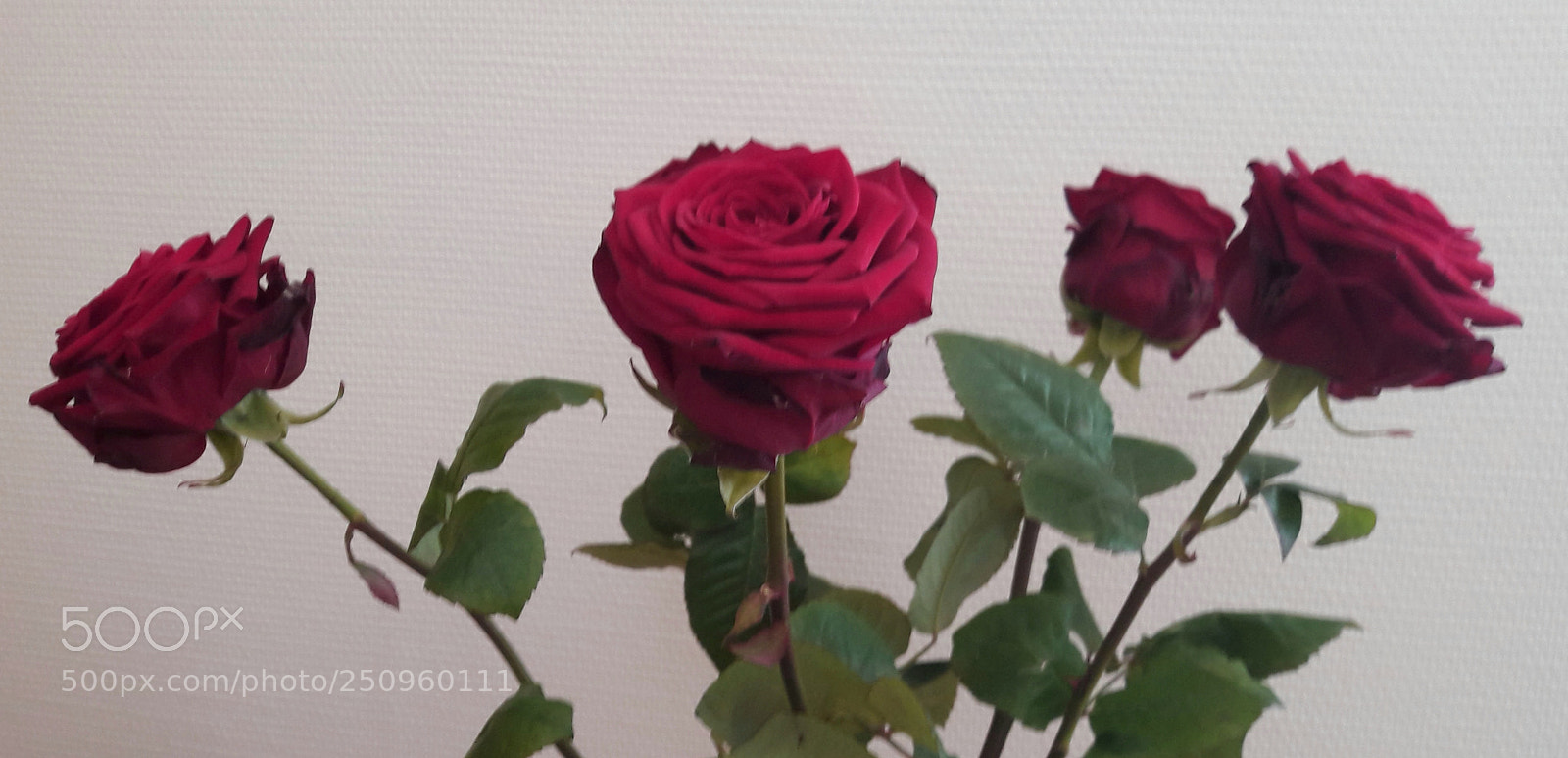 Samsung Galaxy A5(2016) sample photo. Untitled photography