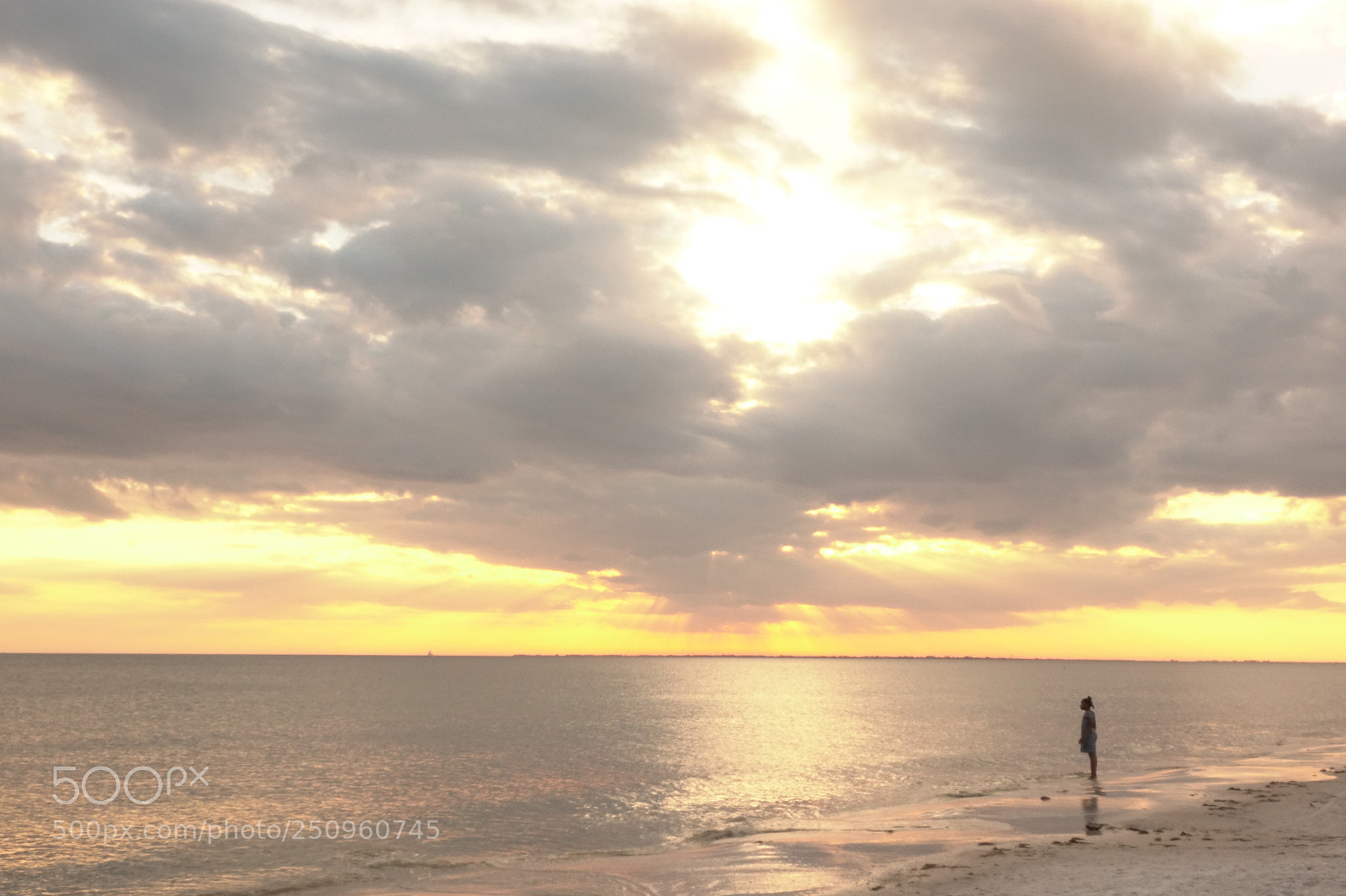 Sony Cyber-shot DSC-RX10 III sample photo. Ft myers gulf senset photography
