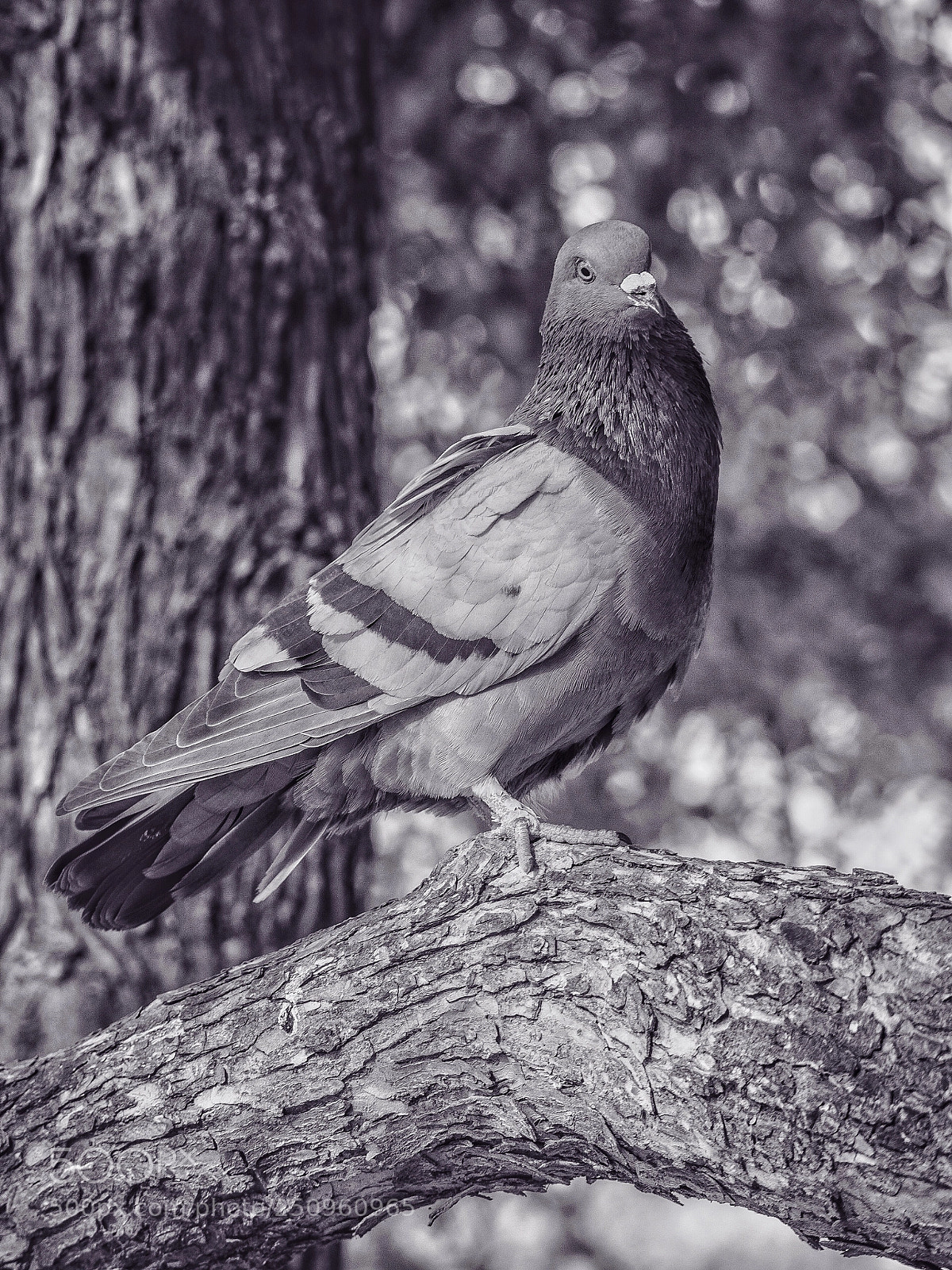 Olympus OM-D E-M5 II sample photo. Untitled photography
