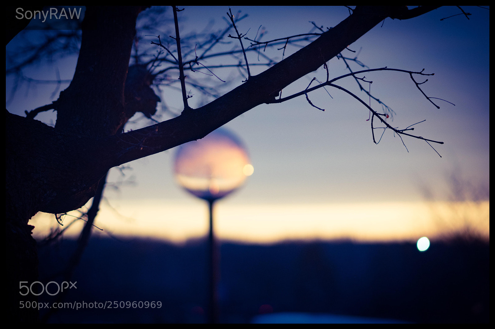 Sony a6500 sample photo. Winter sunrise photography