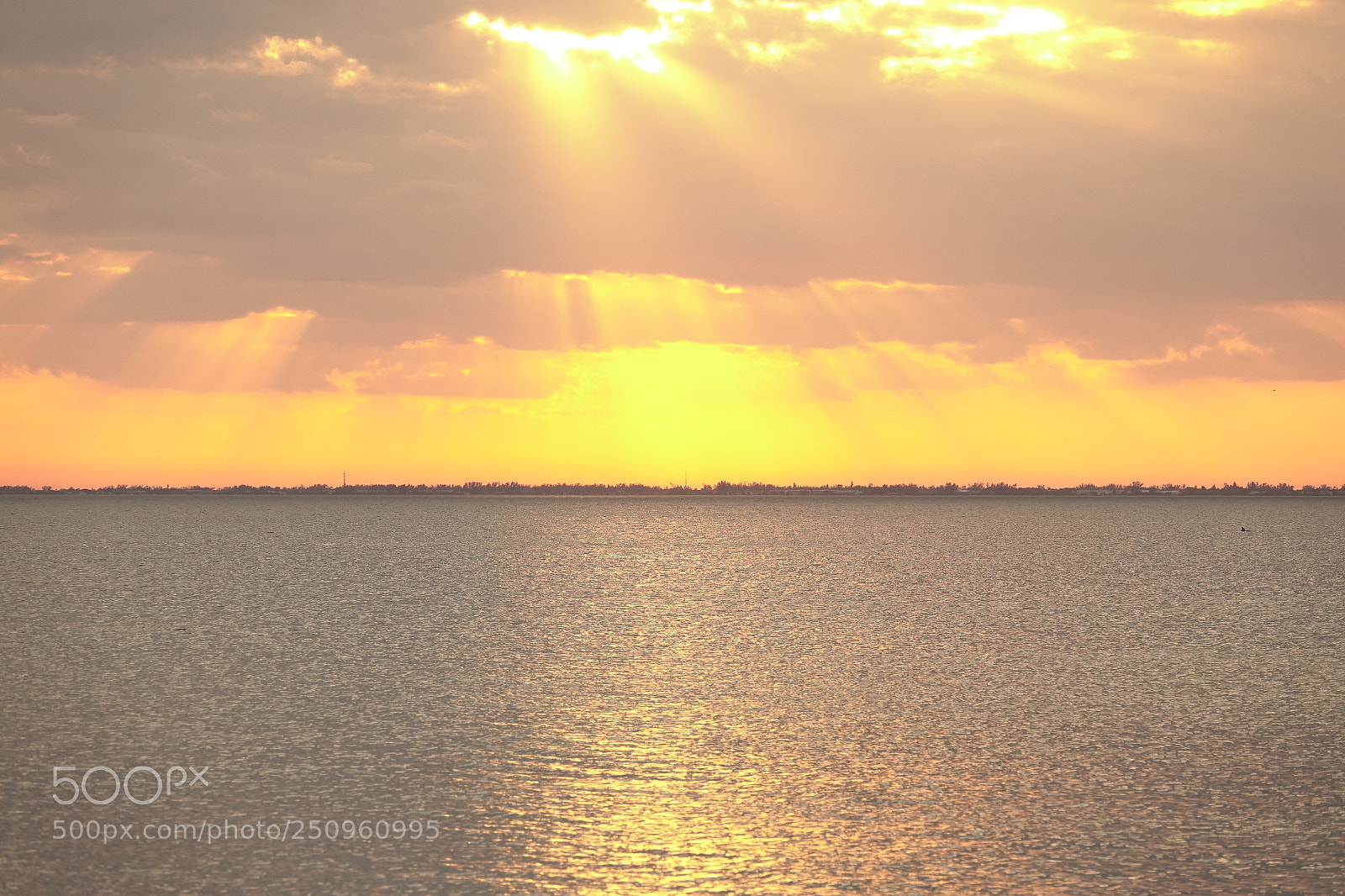 Sony Cyber-shot DSC-RX10 III sample photo. Ft myers gulf senset photography