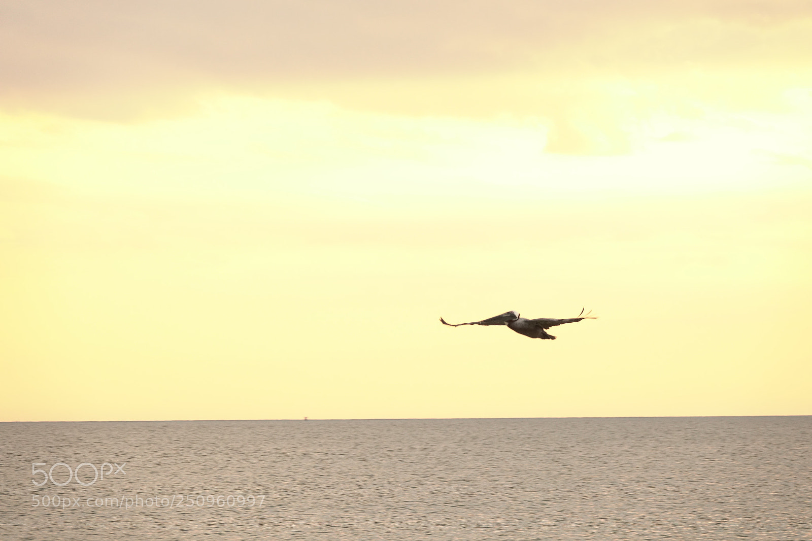 Sony Cyber-shot DSC-RX10 III sample photo. Ft myers gulf senset photography