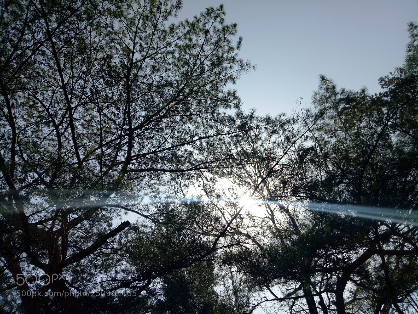 OPPO A1601 sample photo. Seoul 2018 photography