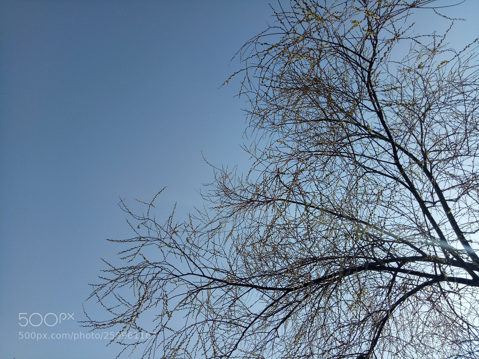 OPPO A1601 sample photo. Seoul 2018 photography