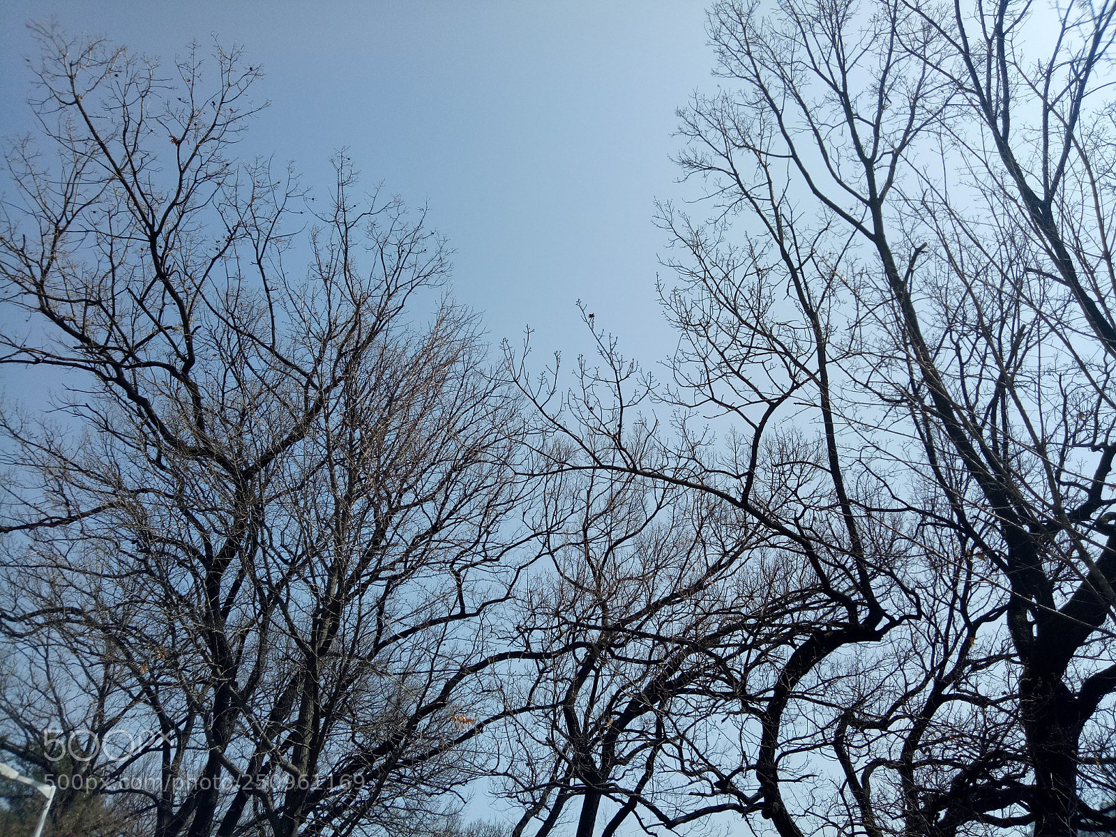 OPPO A1601 sample photo. Seoul 2018 photography