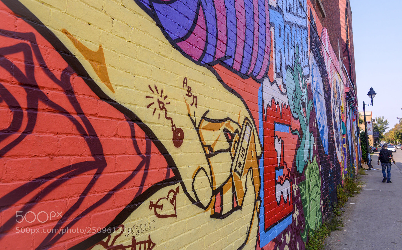 Nikon D600 sample photo. Wall art photography