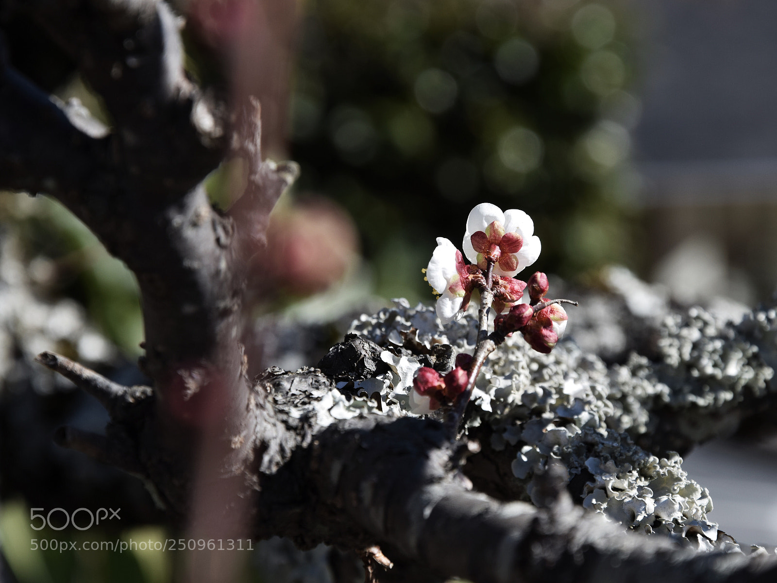 Nikon D3300 sample photo. Untitled photography