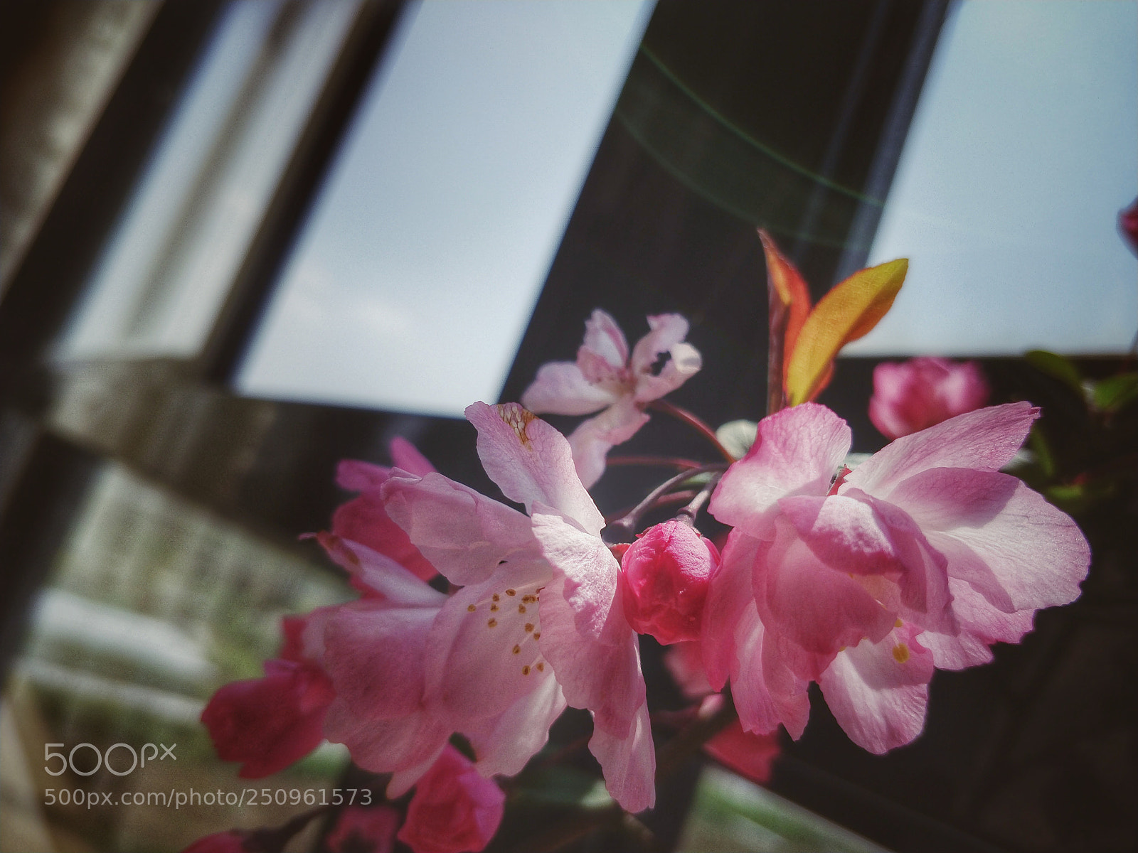 OnePlus 5T sample photo. One photography