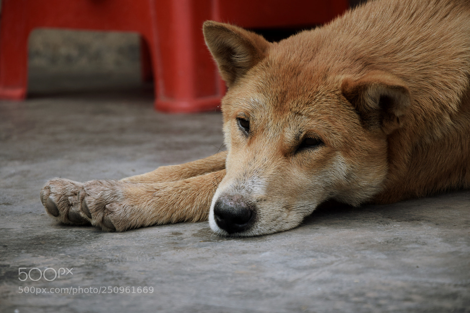 Nikon D3300 sample photo. Untitled photography