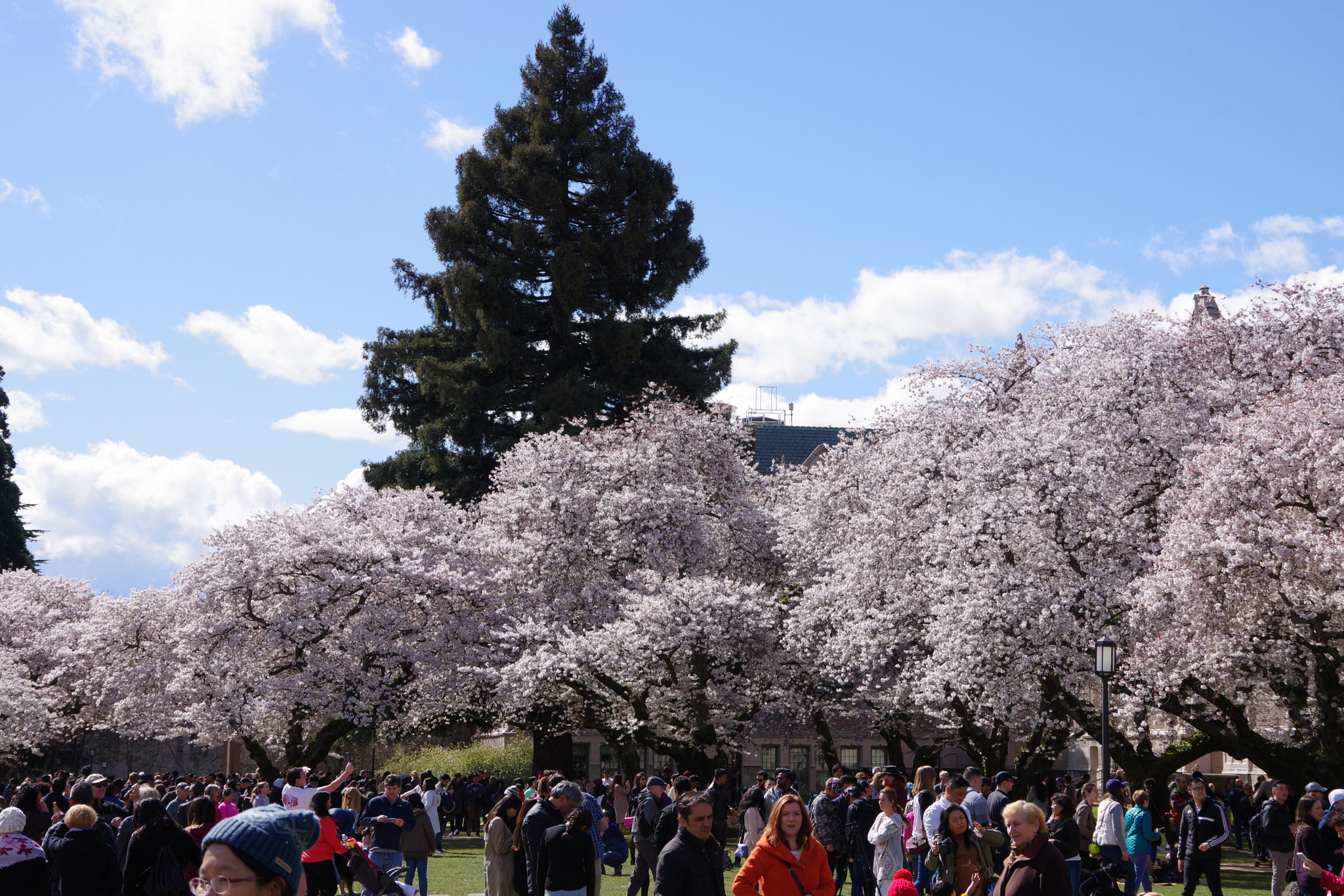 Pentax K-70 sample photo