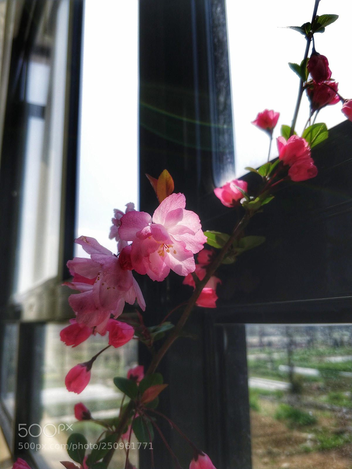 OnePlus 5T sample photo. Two photography