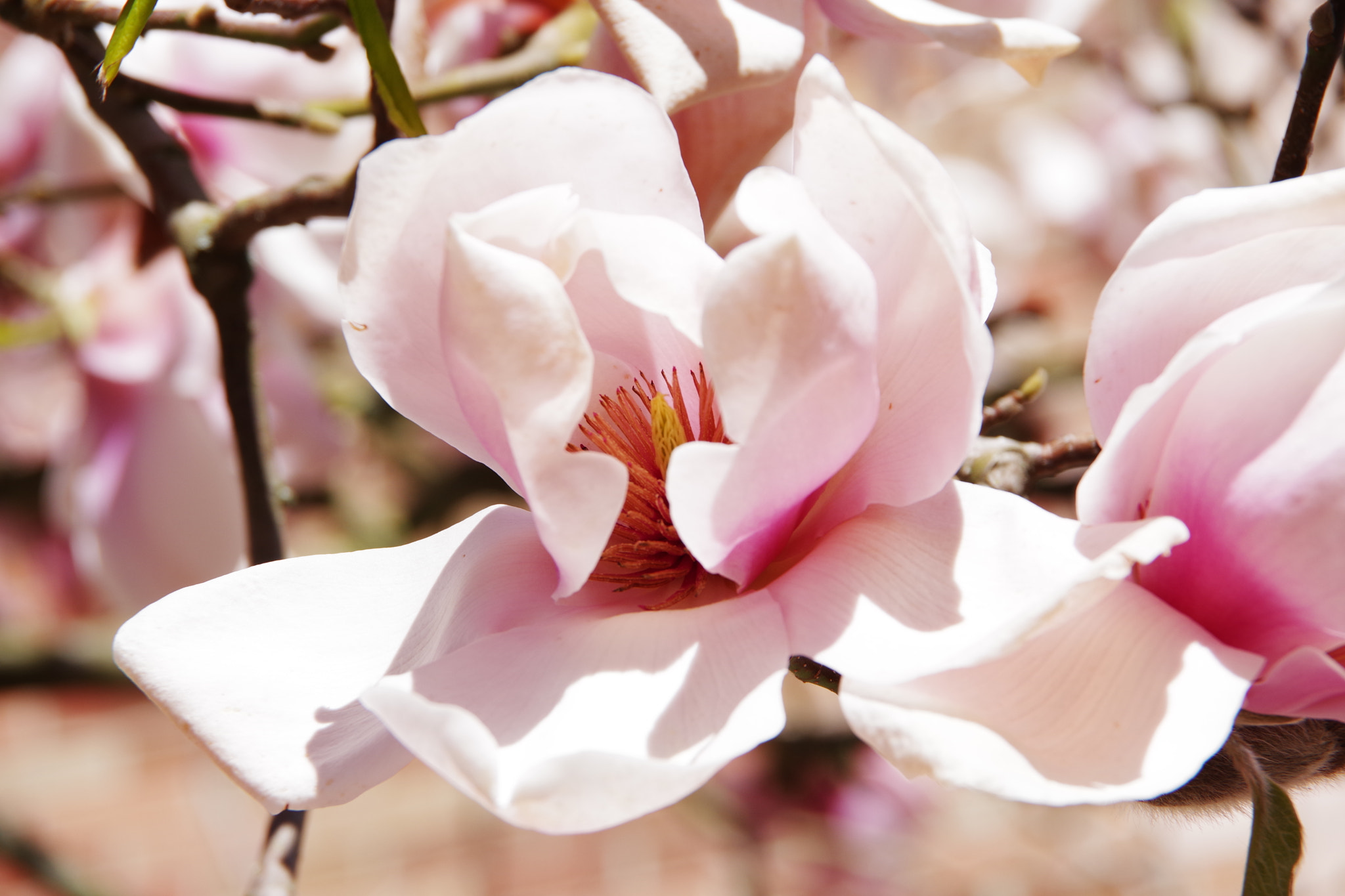 Pentax K-70 sample photo