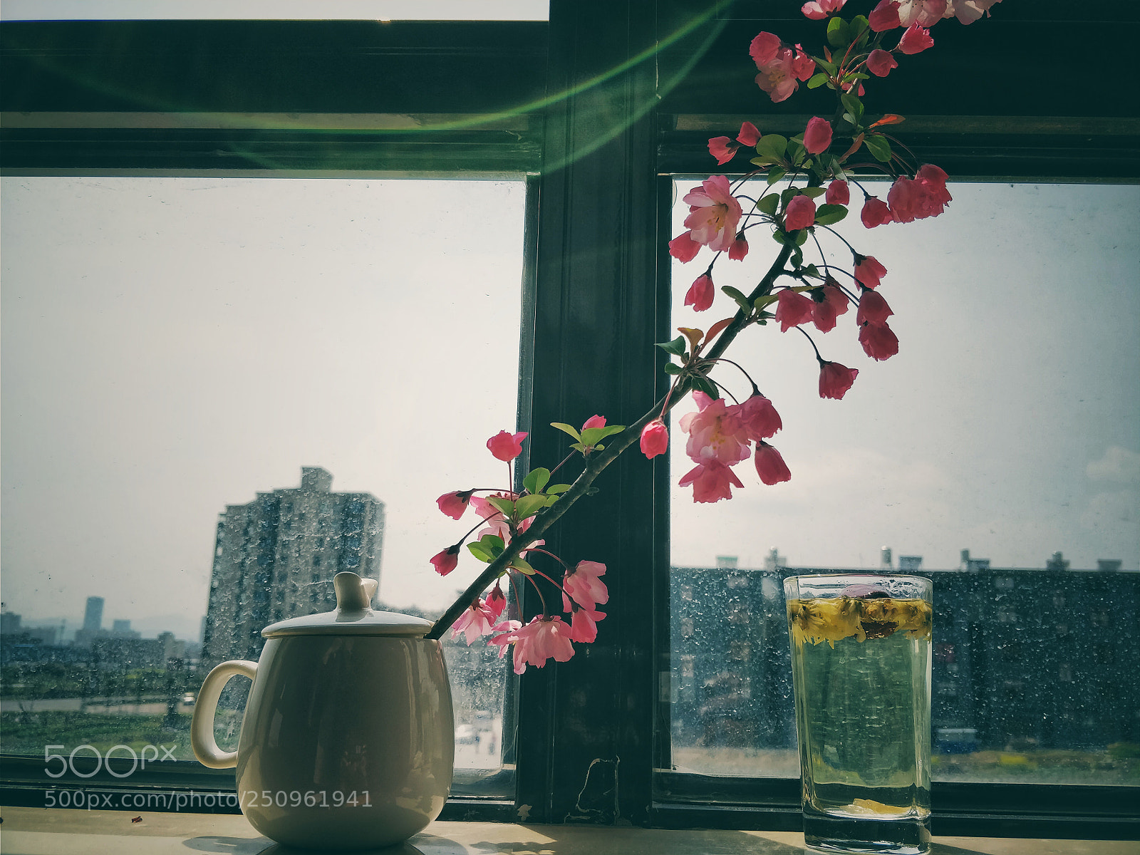 OnePlus 5T sample photo. Three photography
