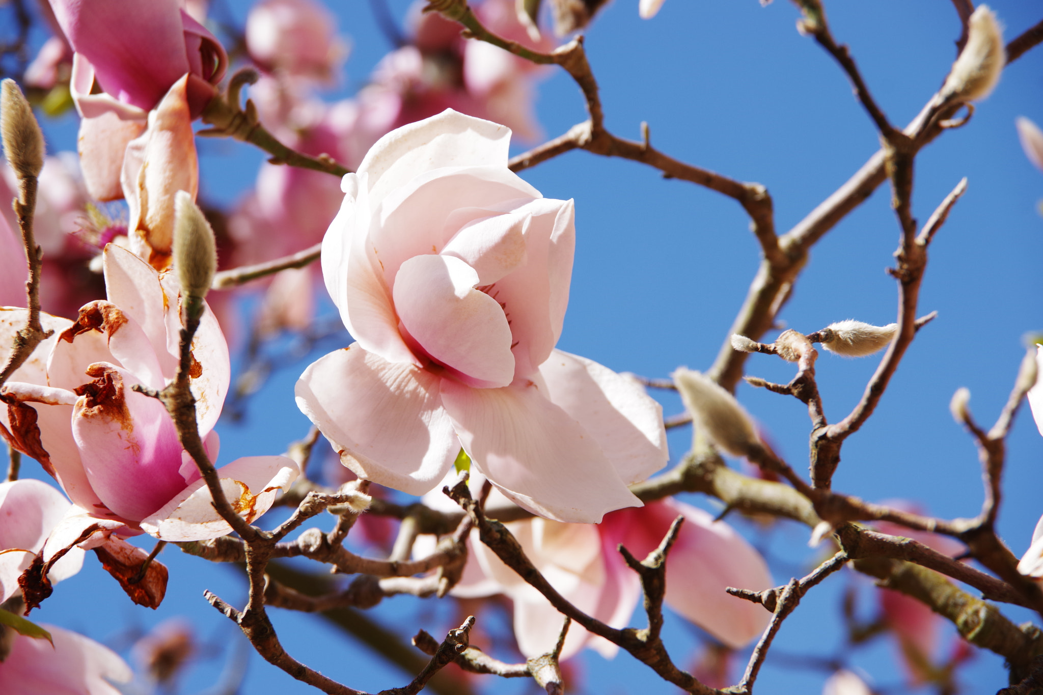 Pentax K-70 sample photo