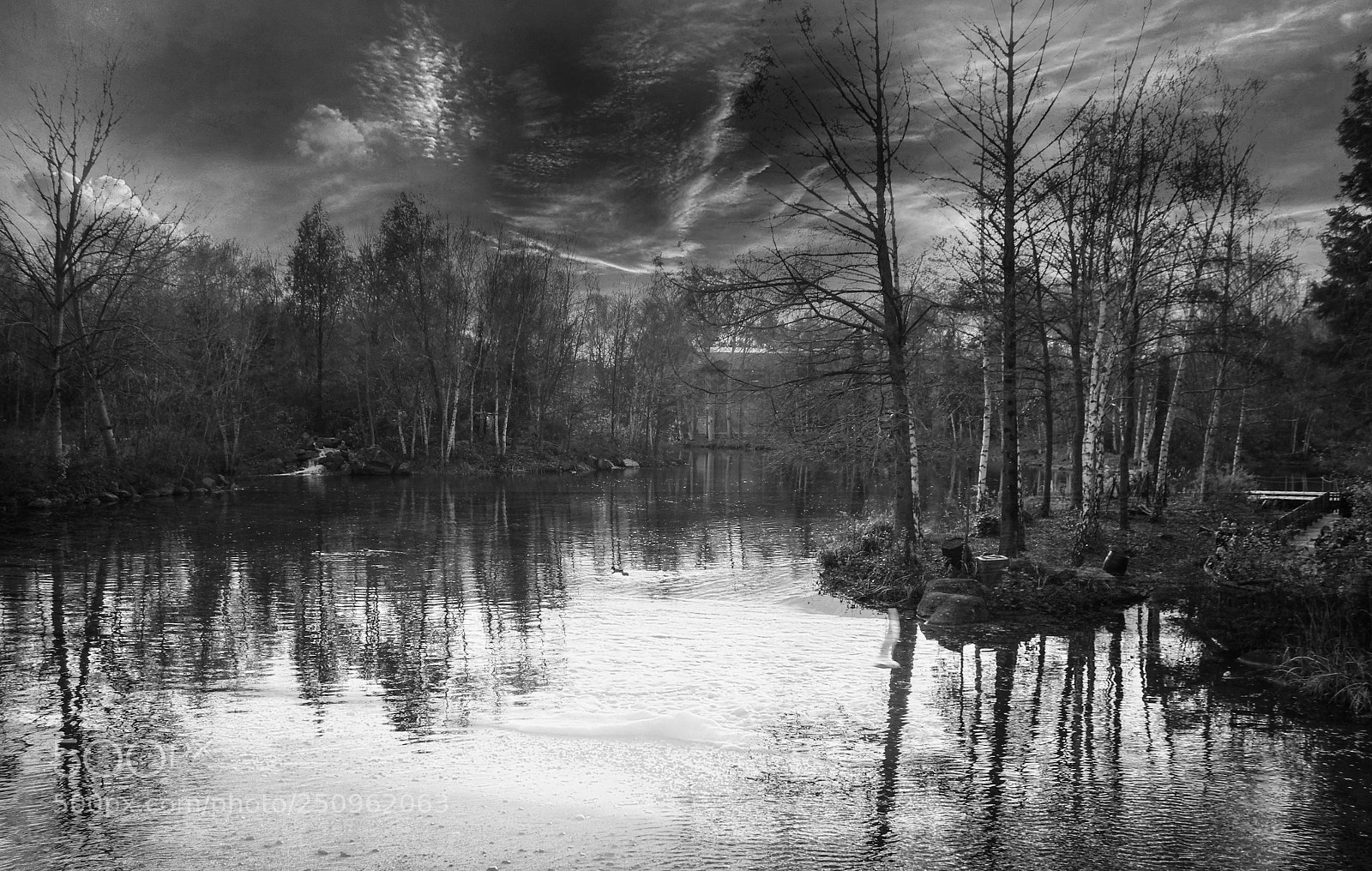 Canon EOS 550D (EOS Rebel T2i / EOS Kiss X4) sample photo. Lake and reflections b photography