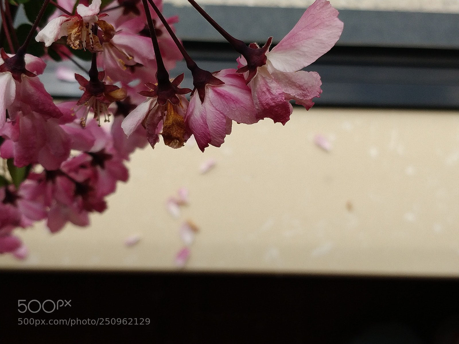 OnePlus 5T sample photo. Four photography